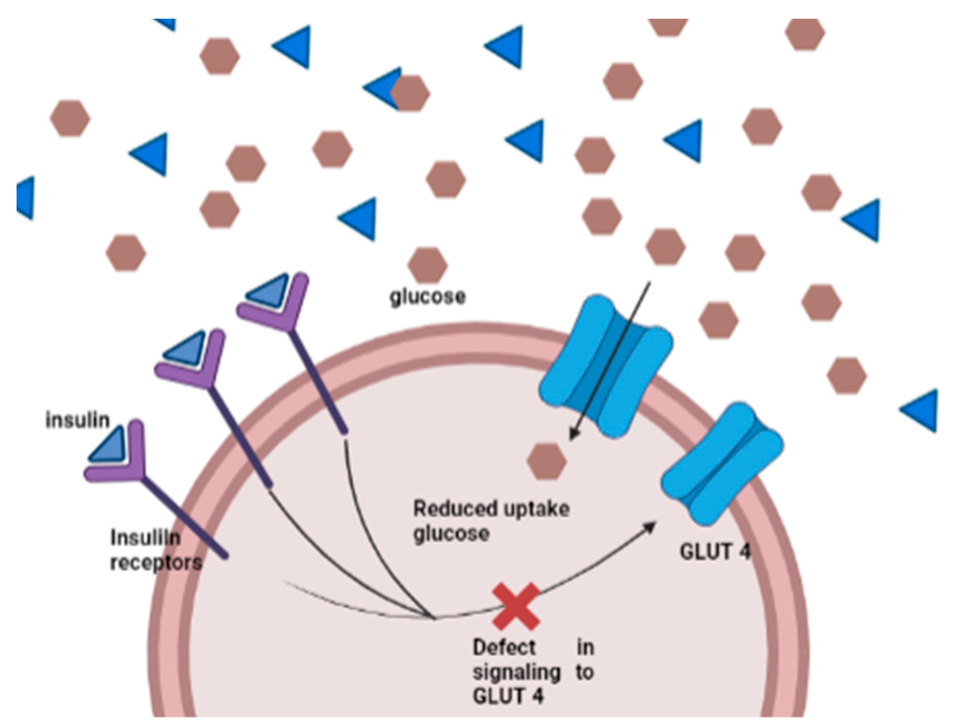 Diagnostics 13 02035 g002