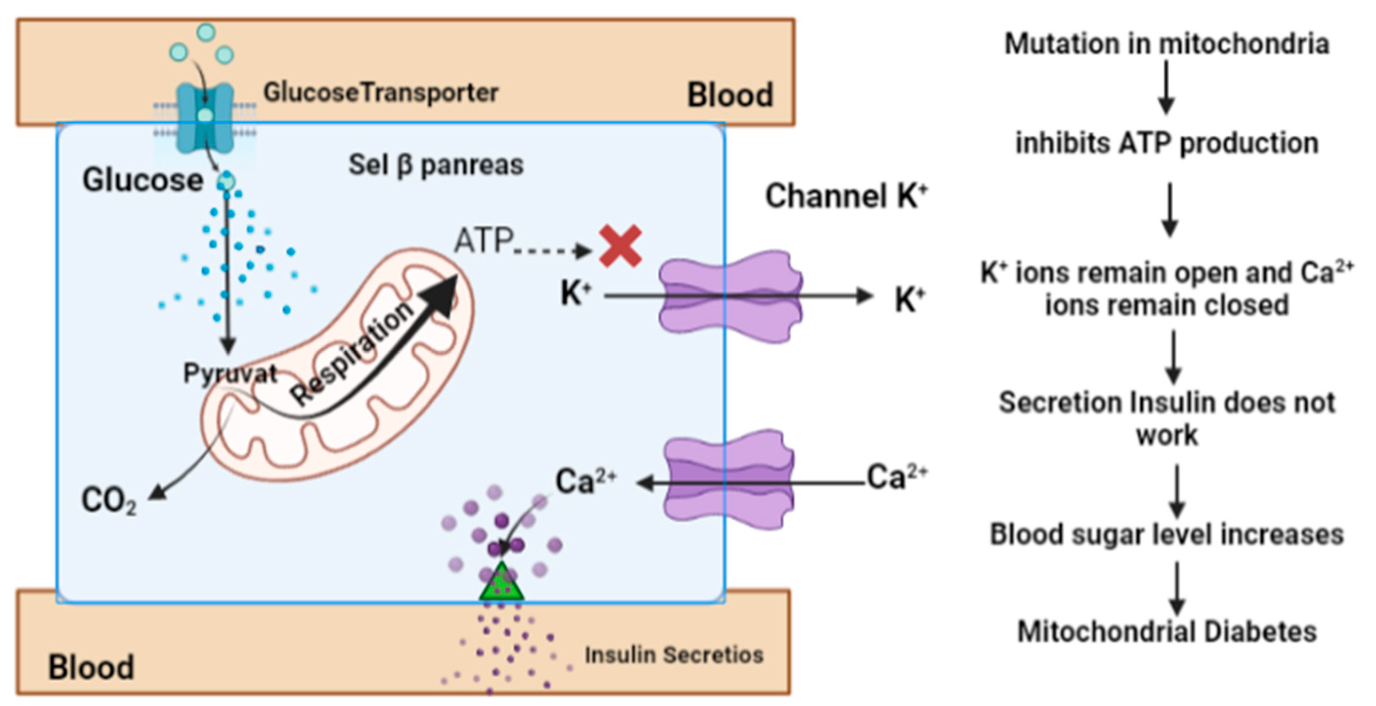 Diagnostics 13 02035 g003