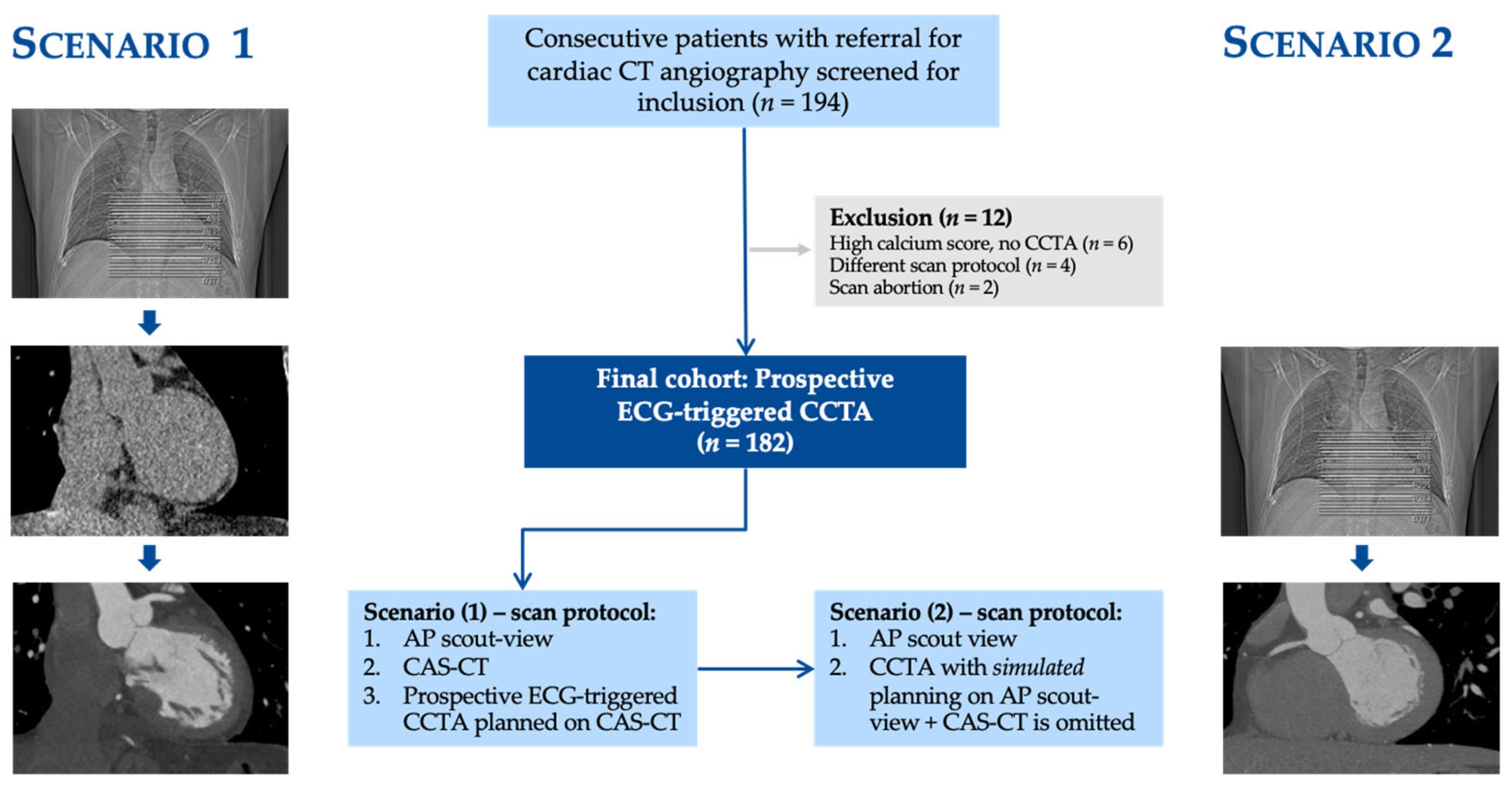 Contrast Media with and without Calcium for Cardioangiography in