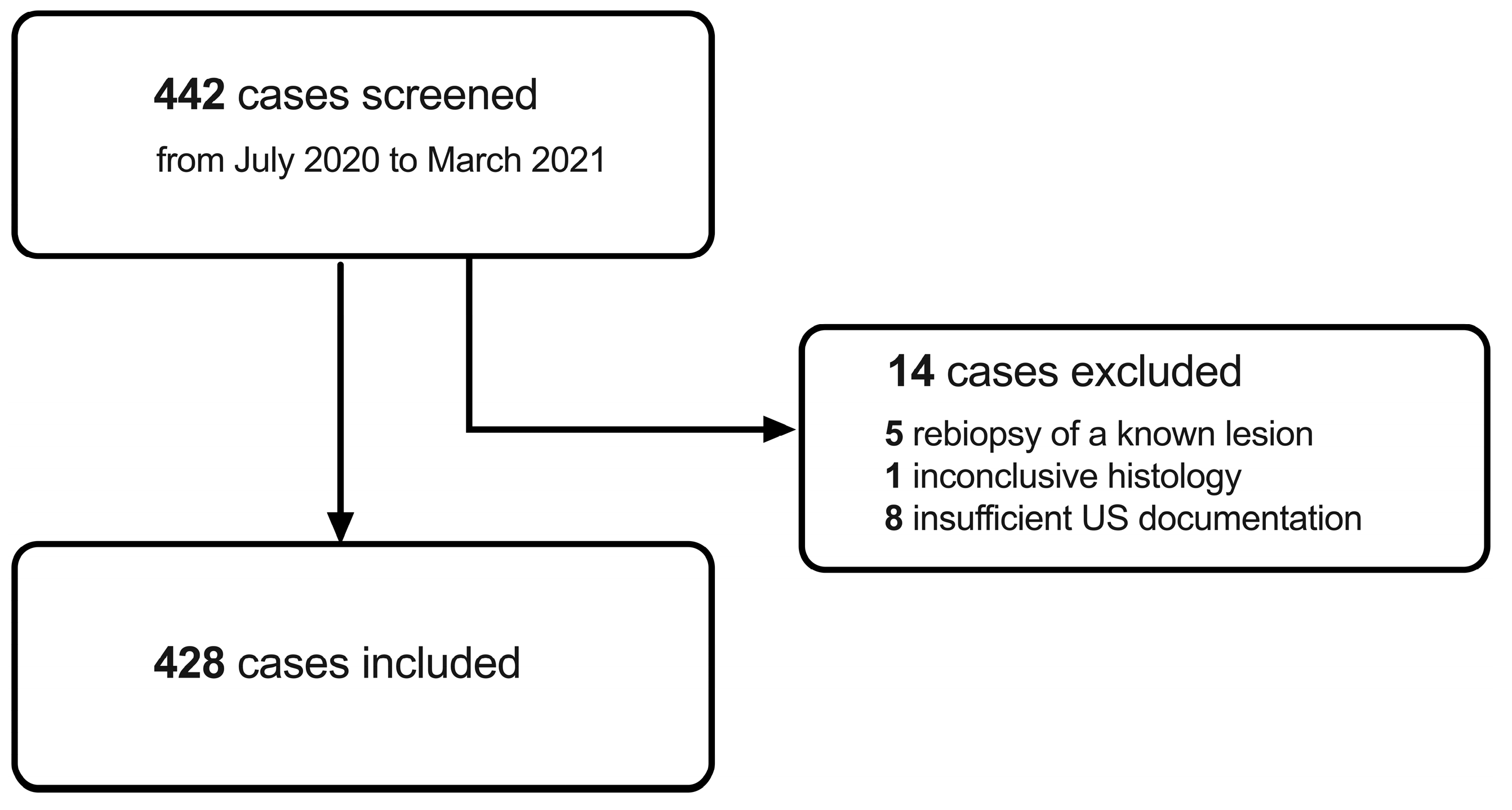 Diagnostics 13 02064 g001