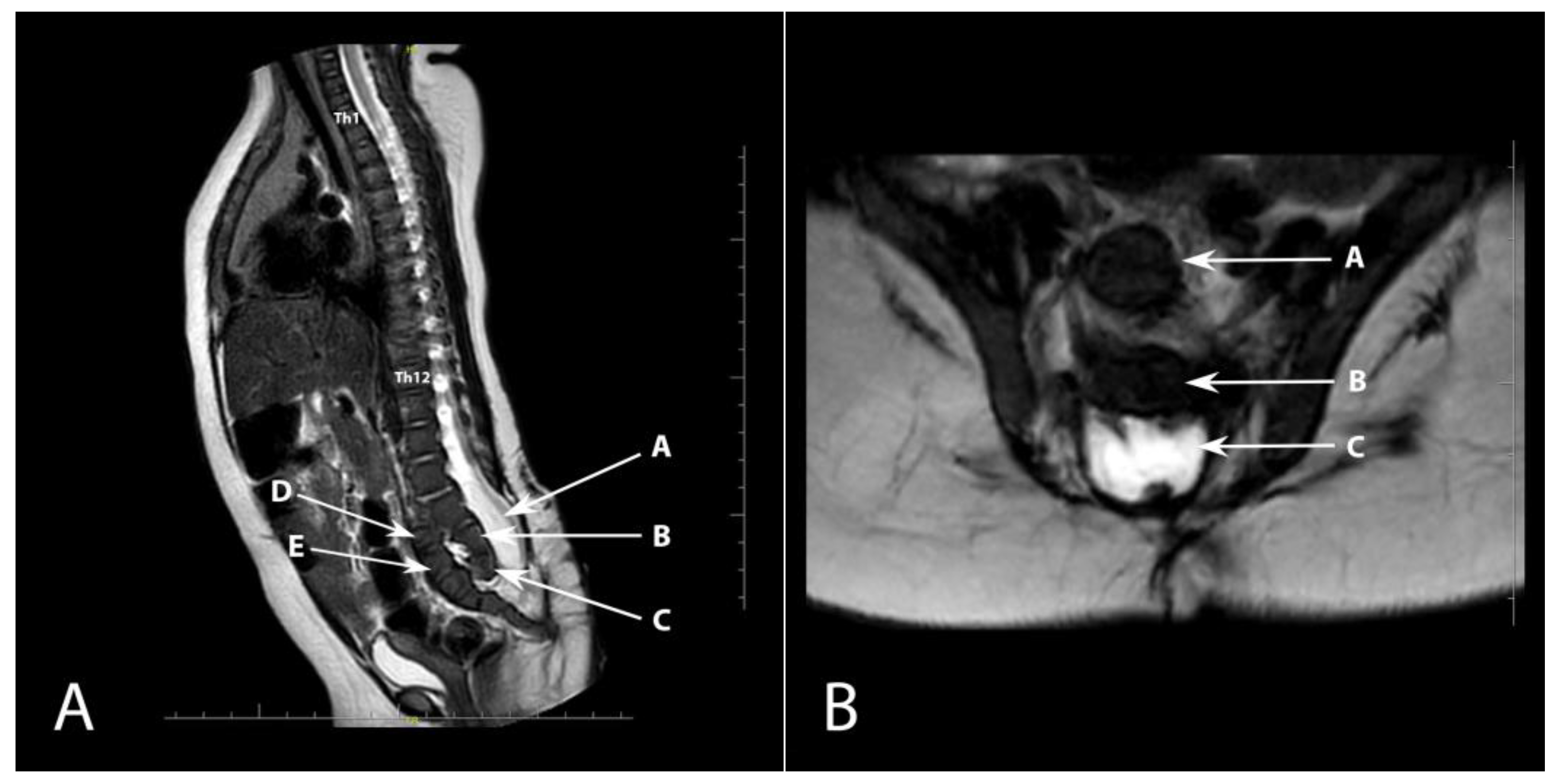 Diagnostics 13 02108 g002 Diagnostics 13 02108 g002