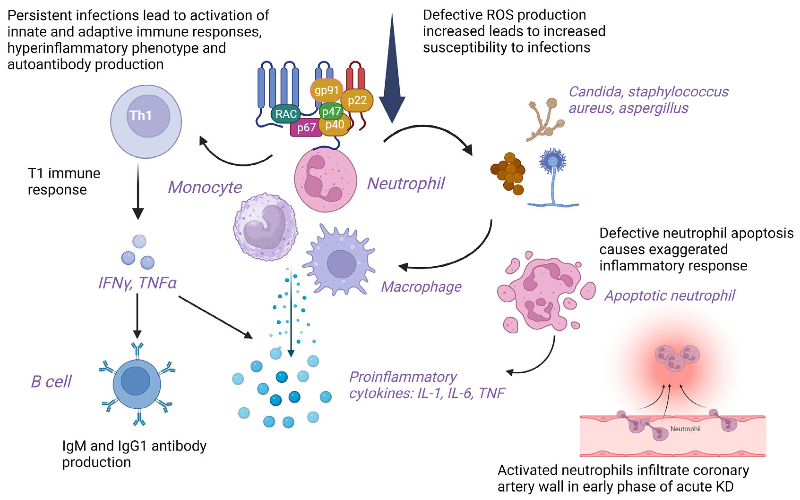 Diagnostics 13 02151 g003