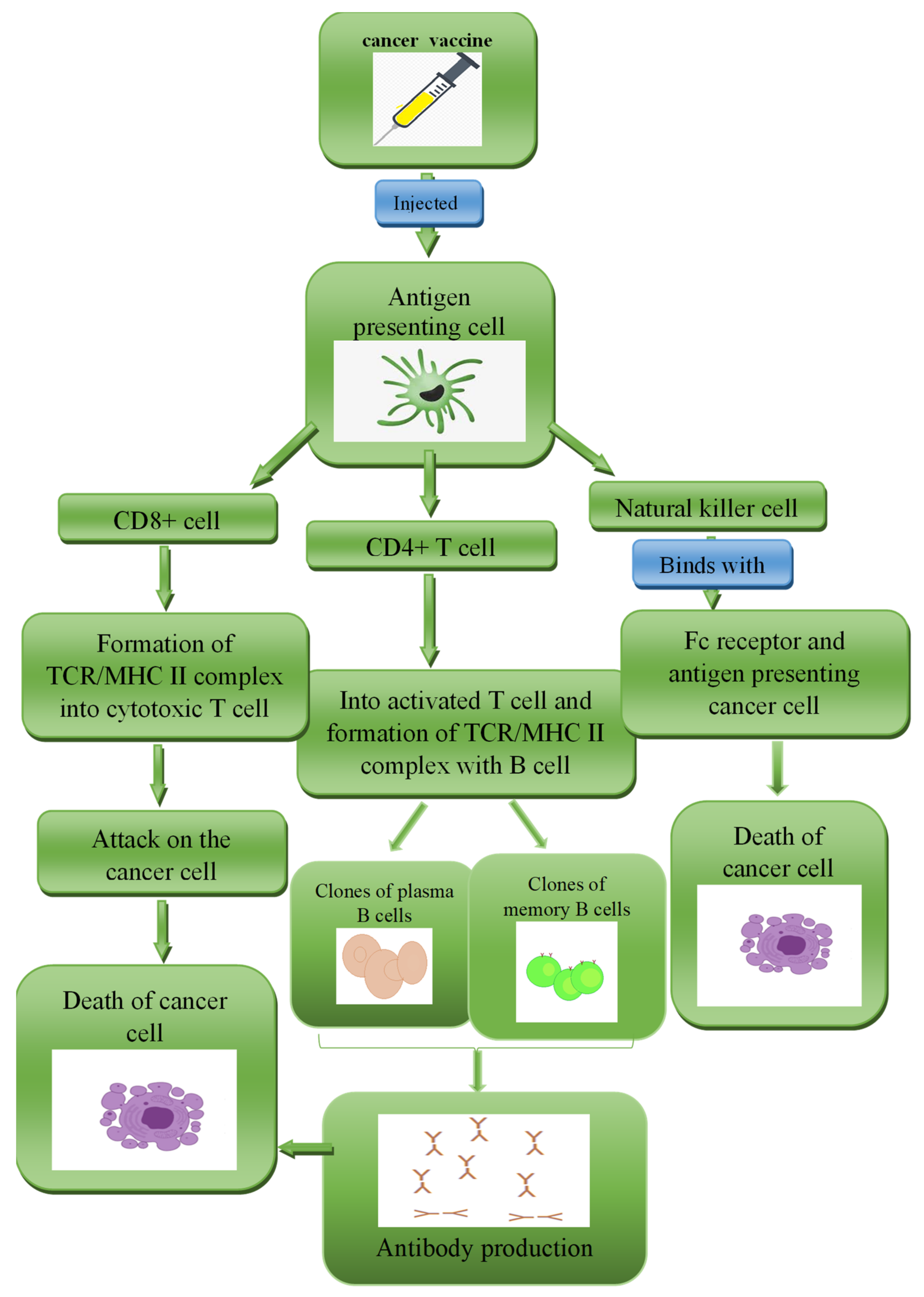 Diagnostics 13 02175 g002