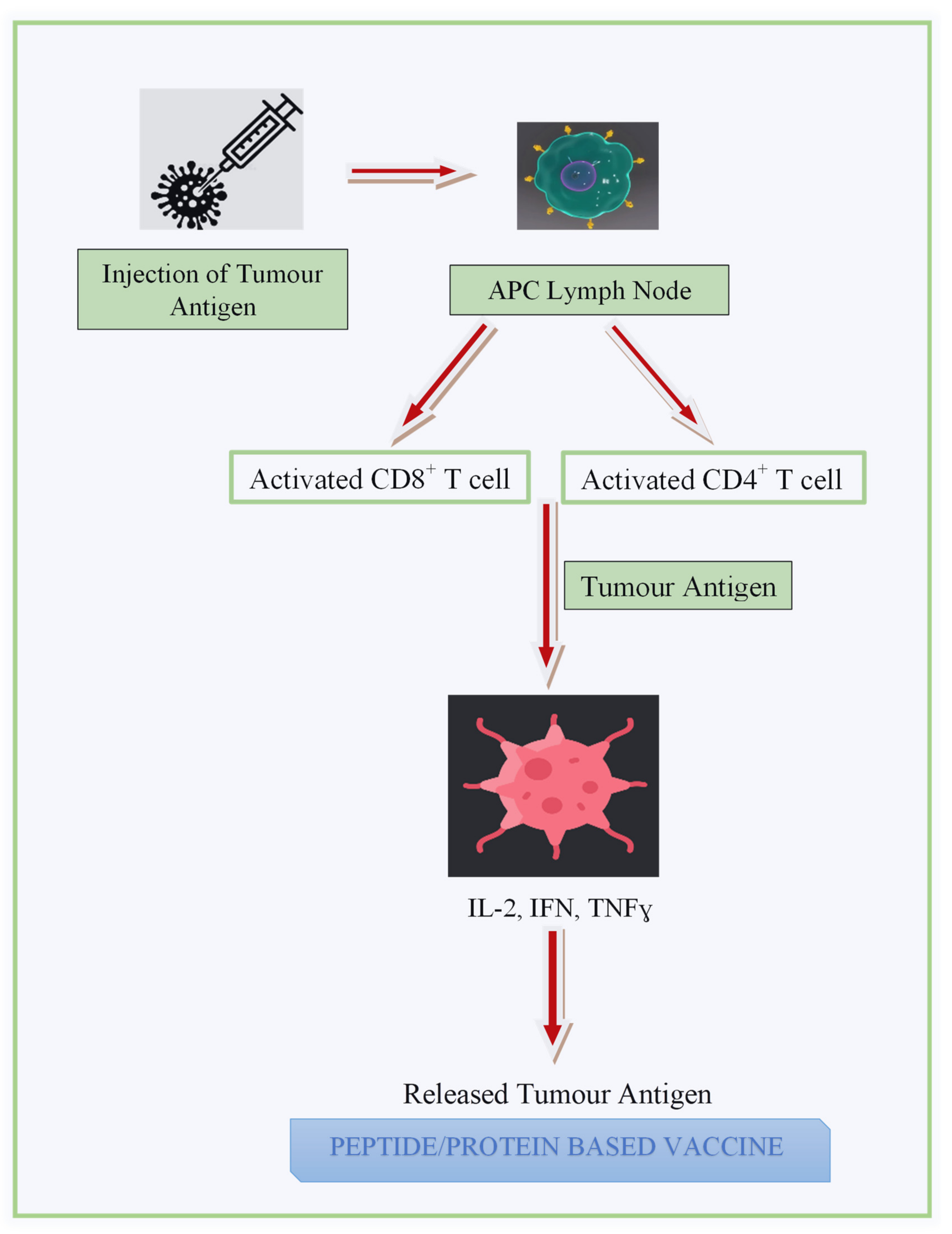 Diagnostics 13 02175 g003