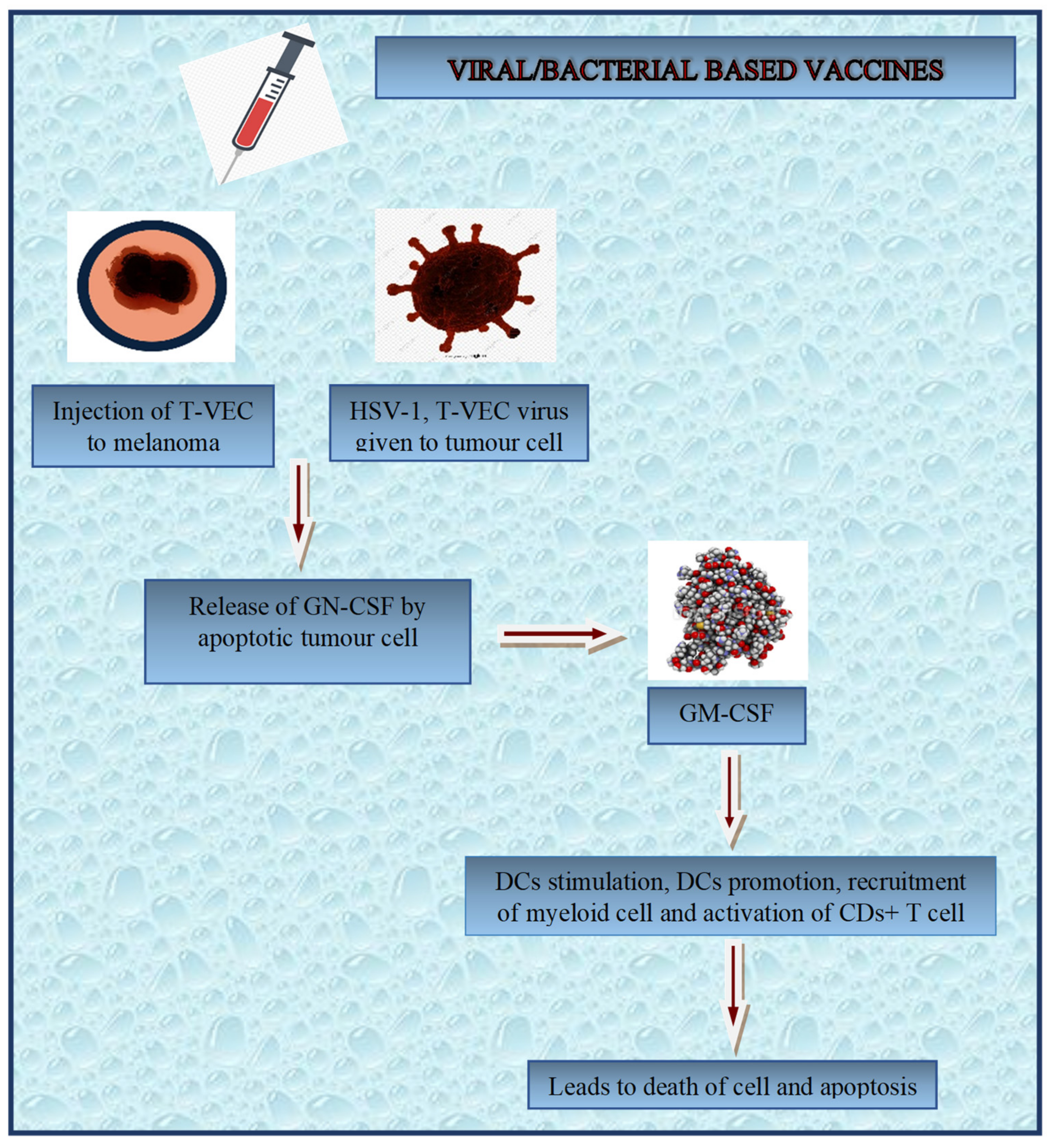 Diagnostics 13 02175 g004
