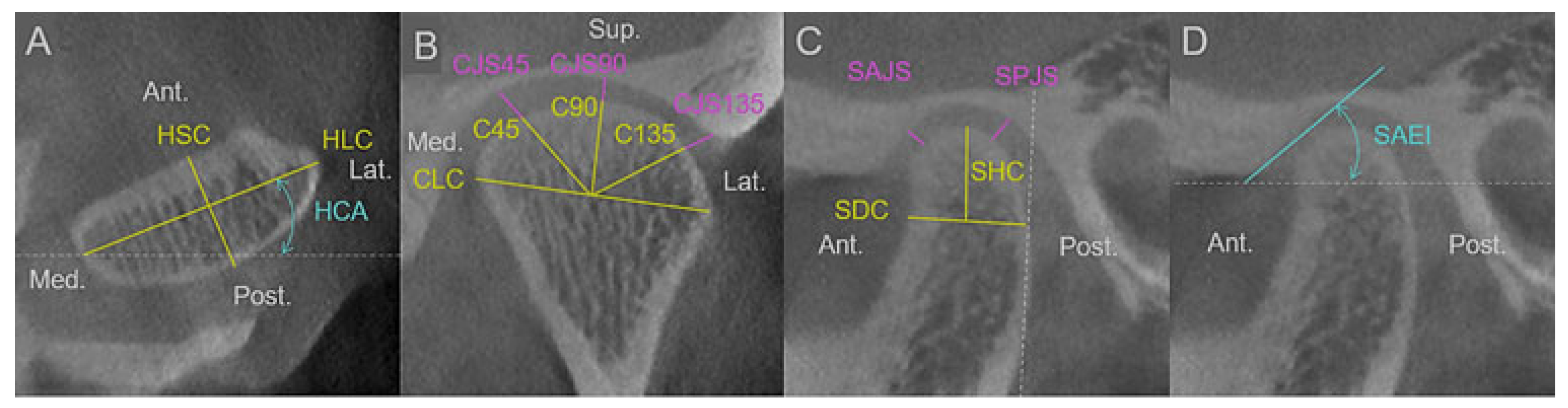 Diagnostics Free Full Text Association between the