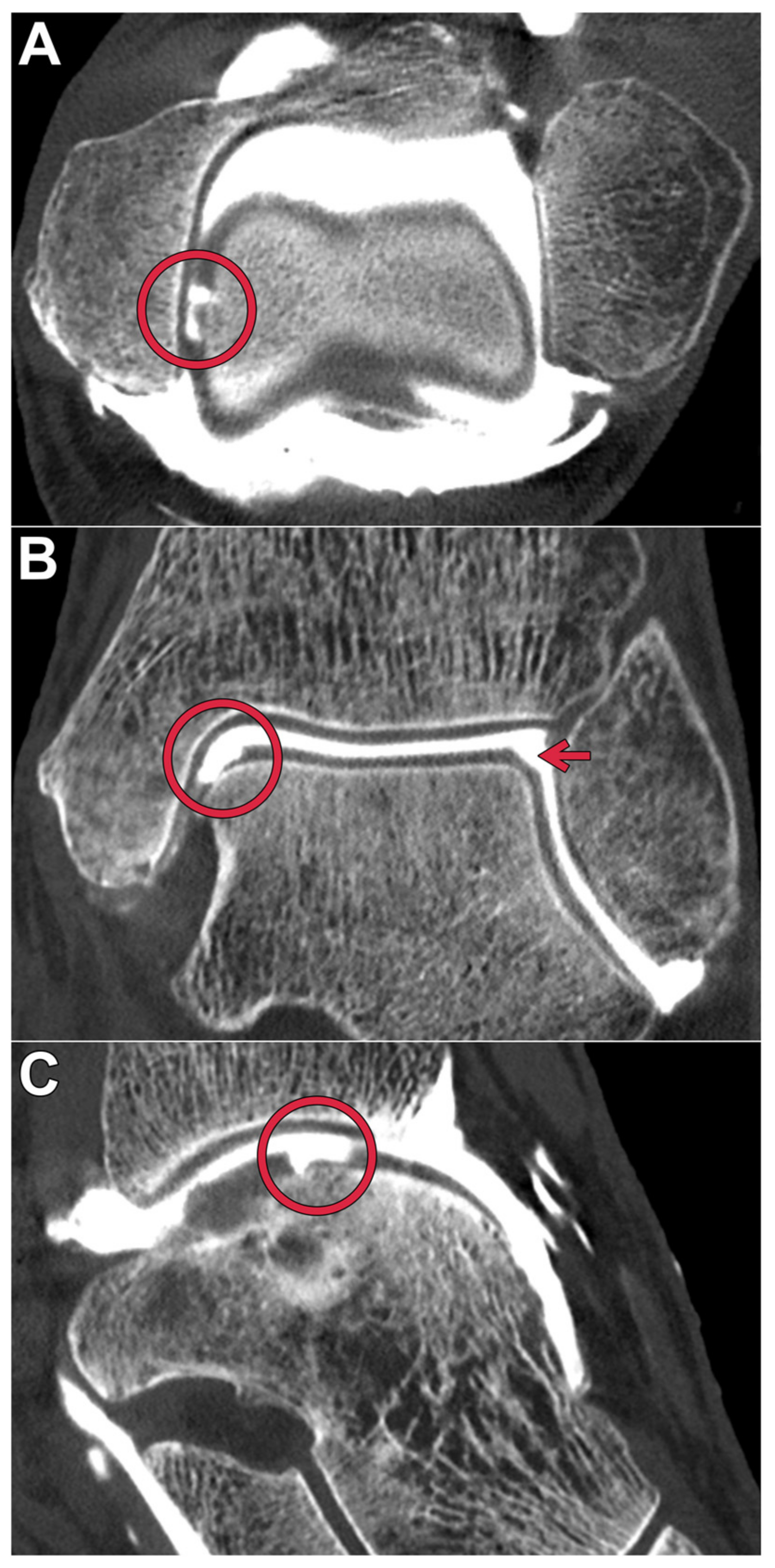 Diagnostics 13 02201 g003