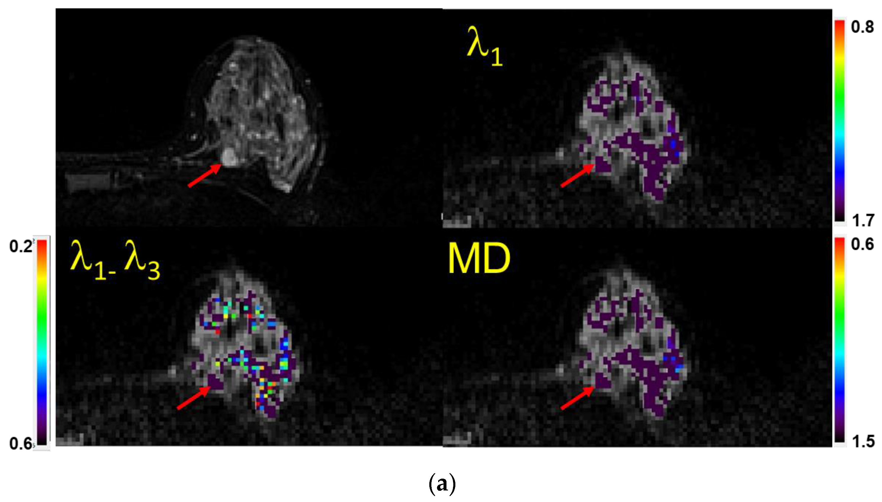 Diagnostics 13 02226 g003a Diagnostics 13 02226 g003a