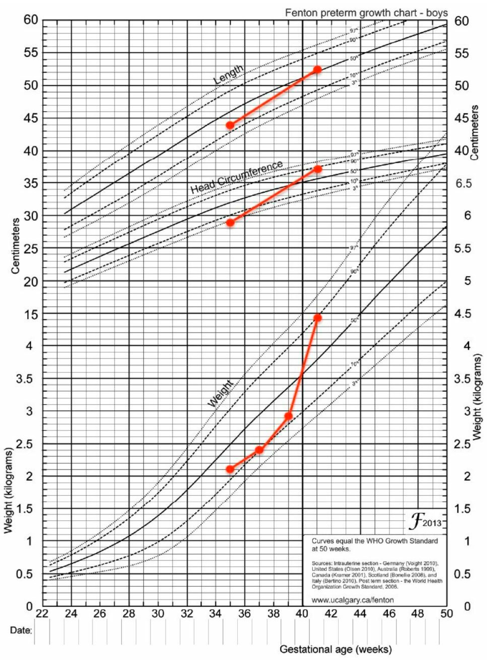 Frontiers  Case report: A 10-year prognosis of neonatal diabetes