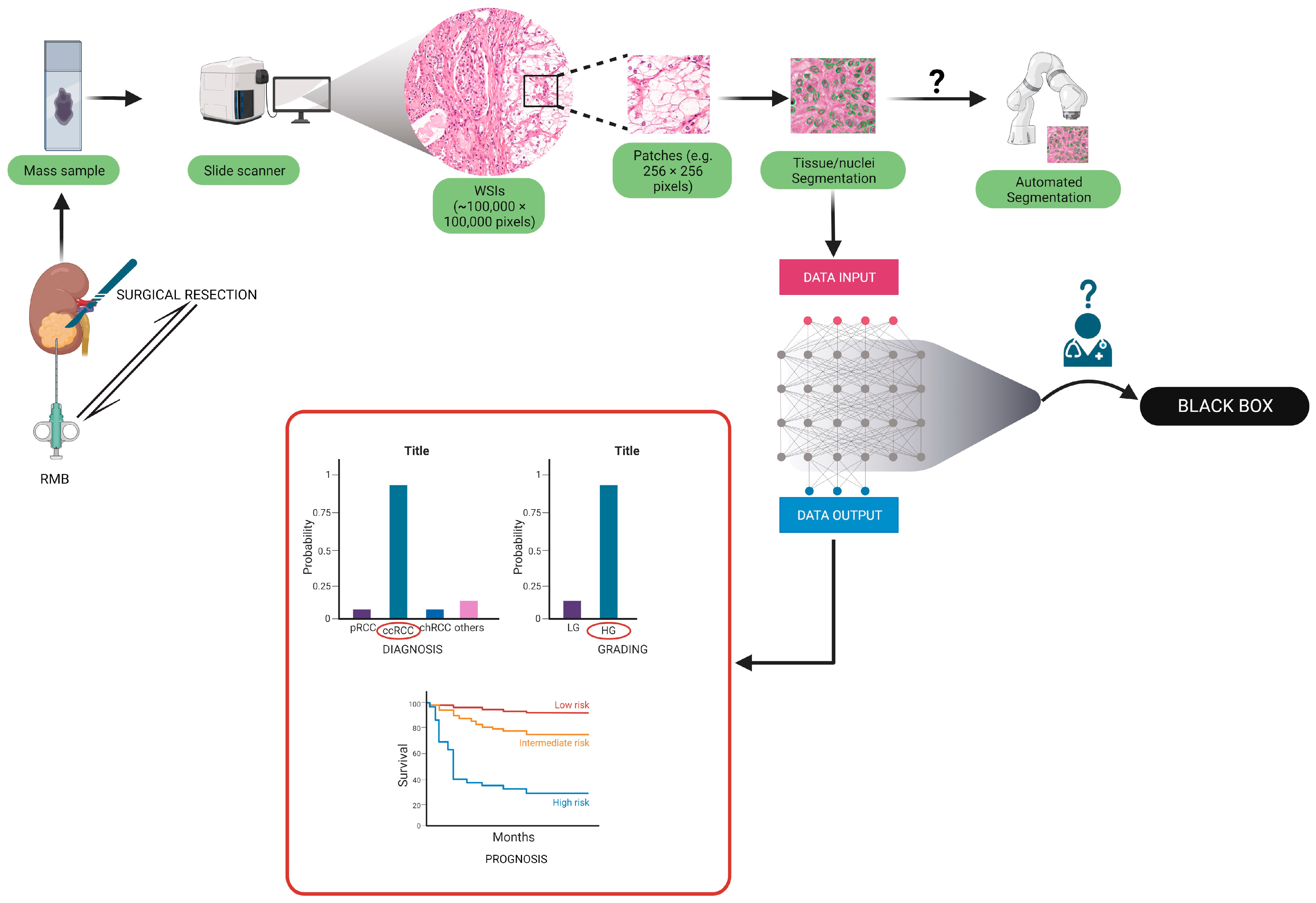 Diagnostics 13 02294 g001