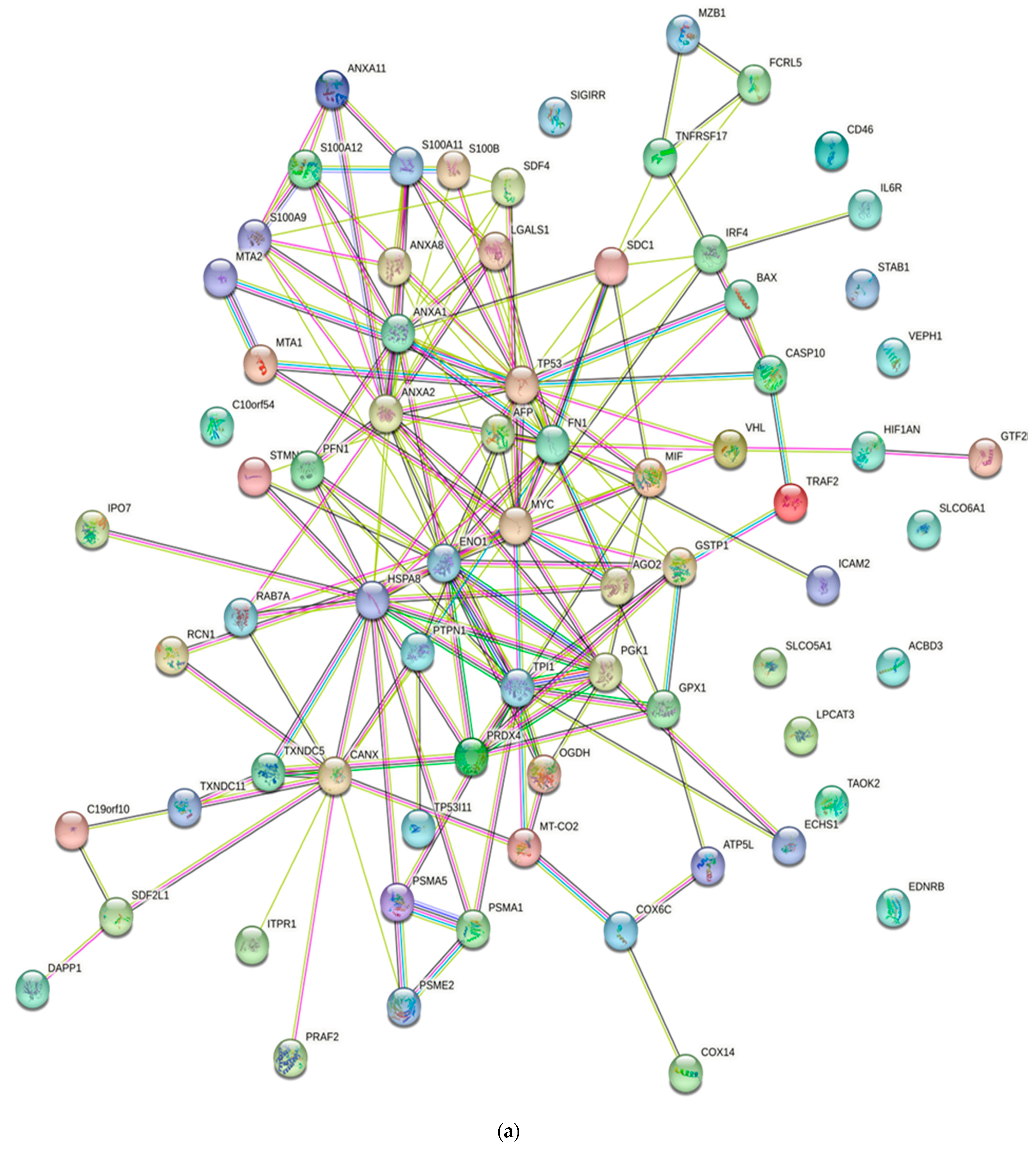 Diagnostics 13 02328 g002a Diagnostics 13 02328 g002a