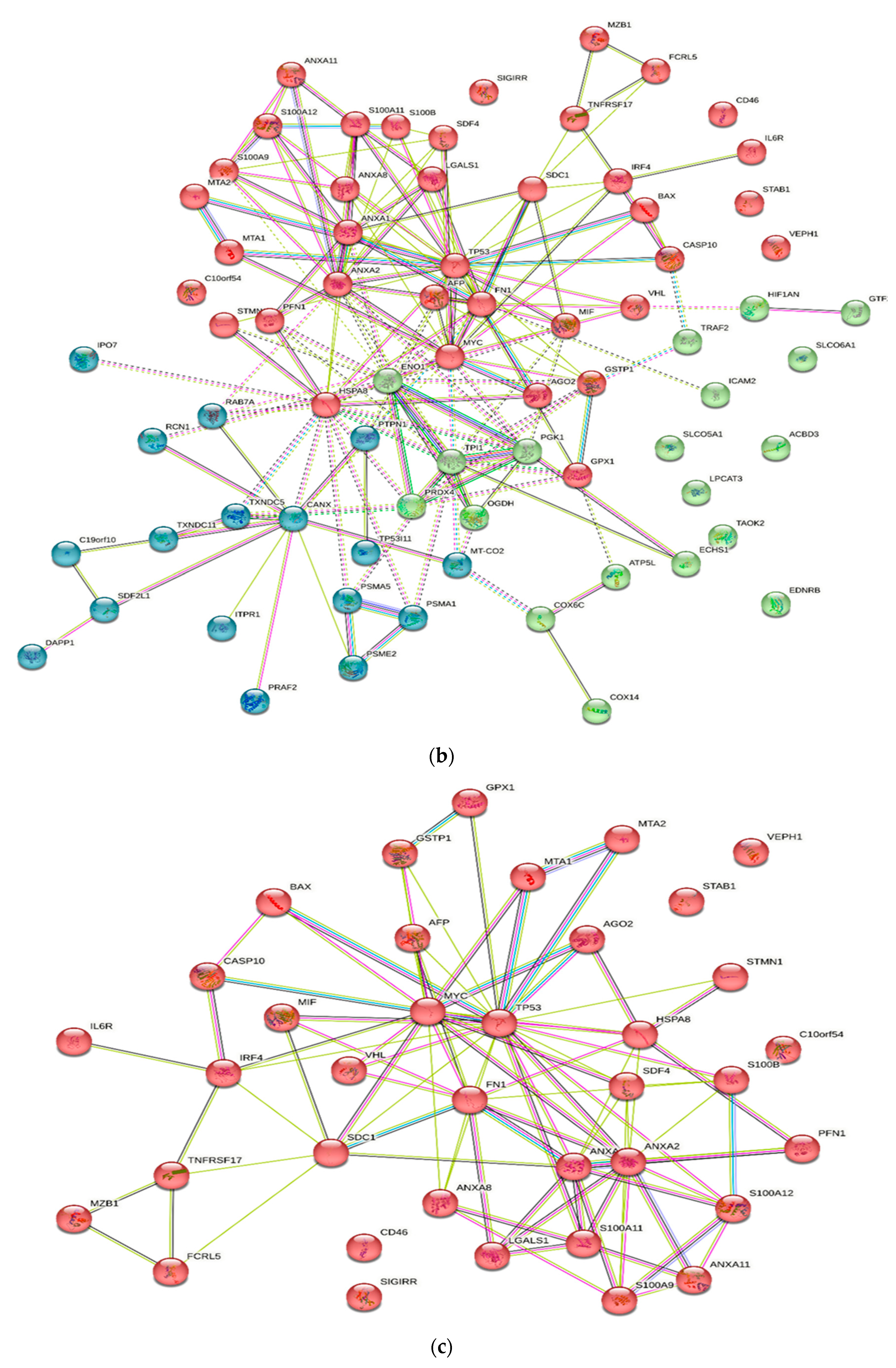 Diagnostics 13 02328 g002b Diagnostics 13 02328 g002b