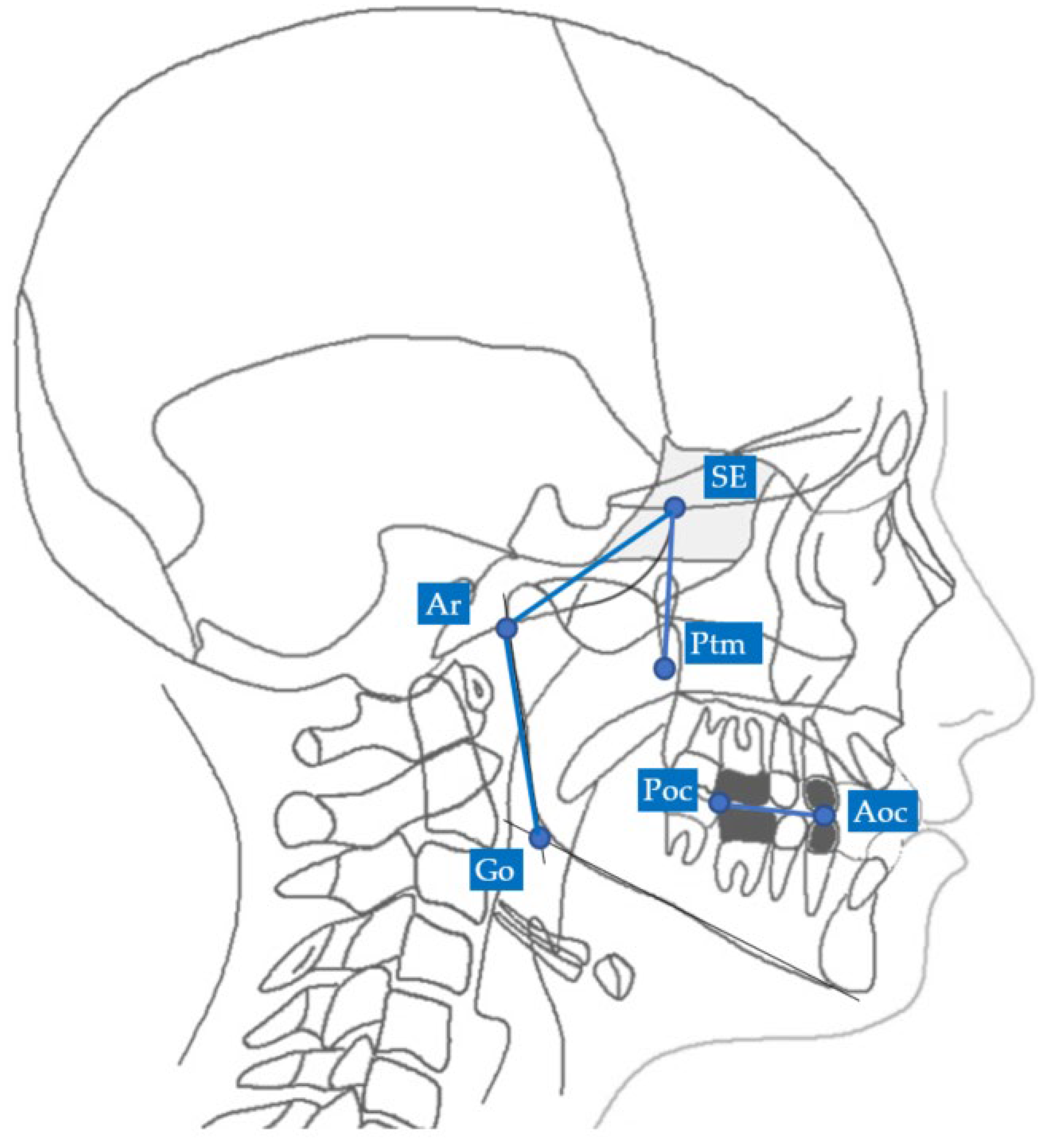 Diagnostics 13 02337 g001 Diagnostics 13 02337 g001