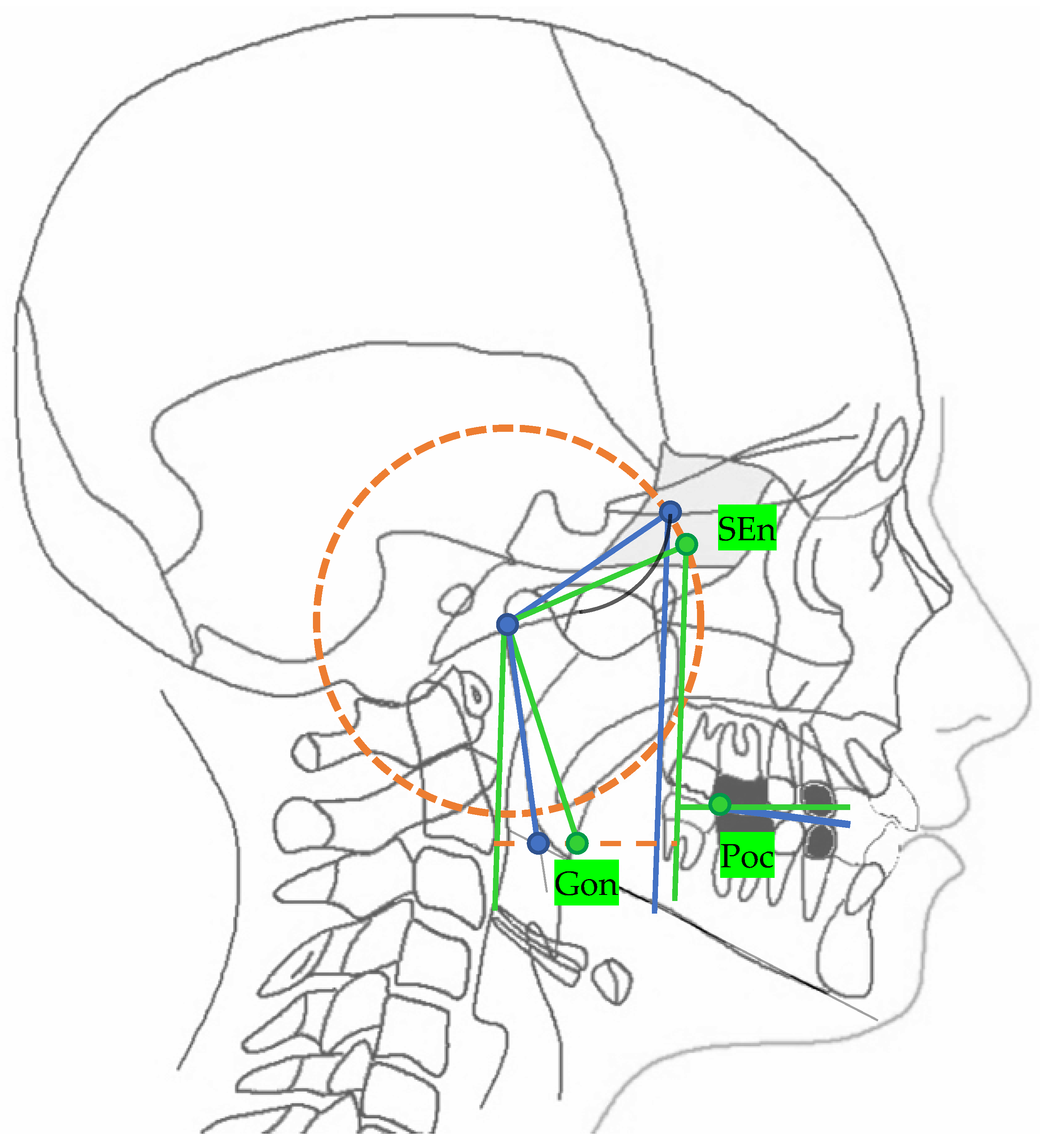 Diagnostics 13 02337 g002 Diagnostics 13 02337 g002