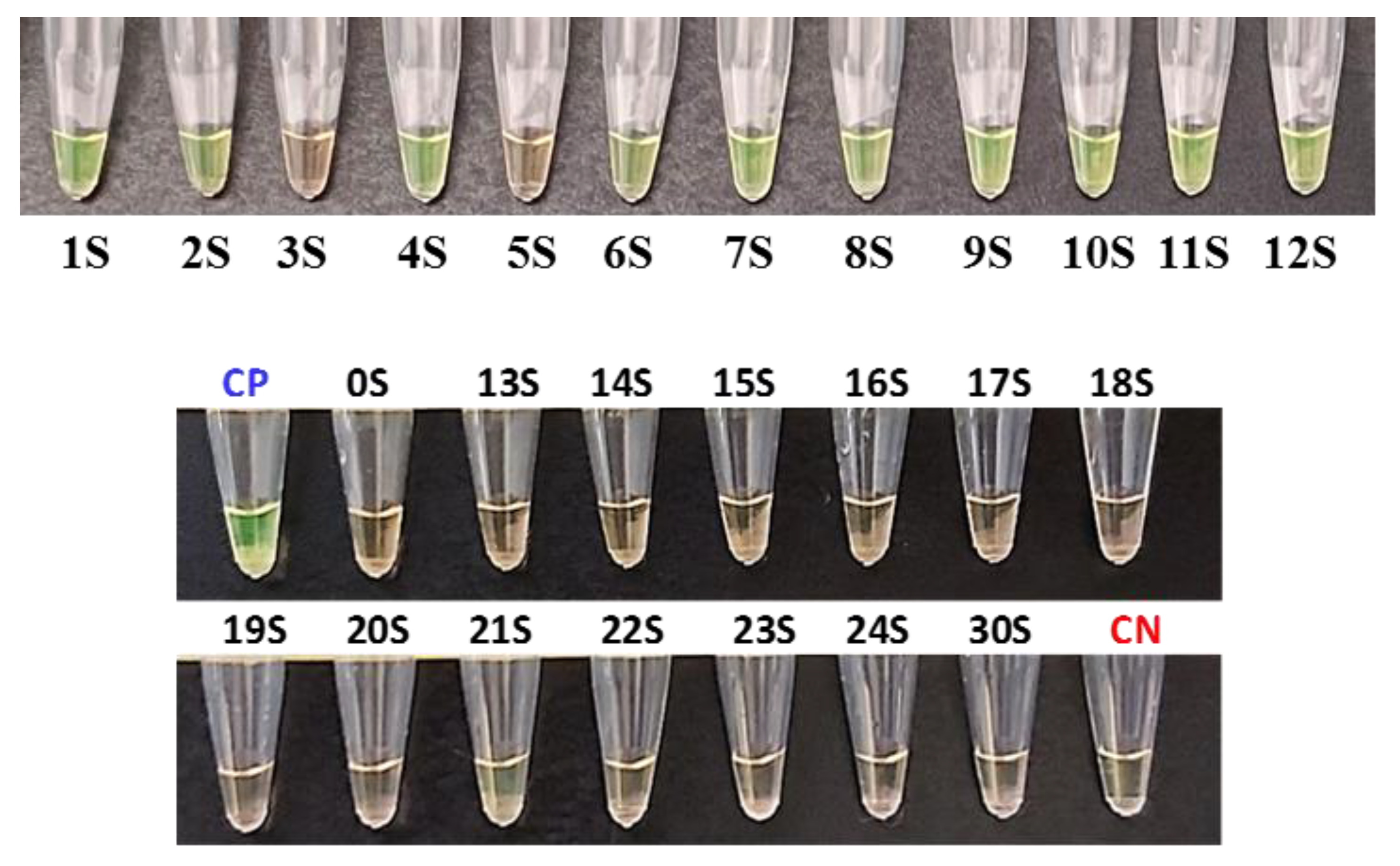 Diagnostics 13 02344 g002 Diagnostics 13 02344 g002