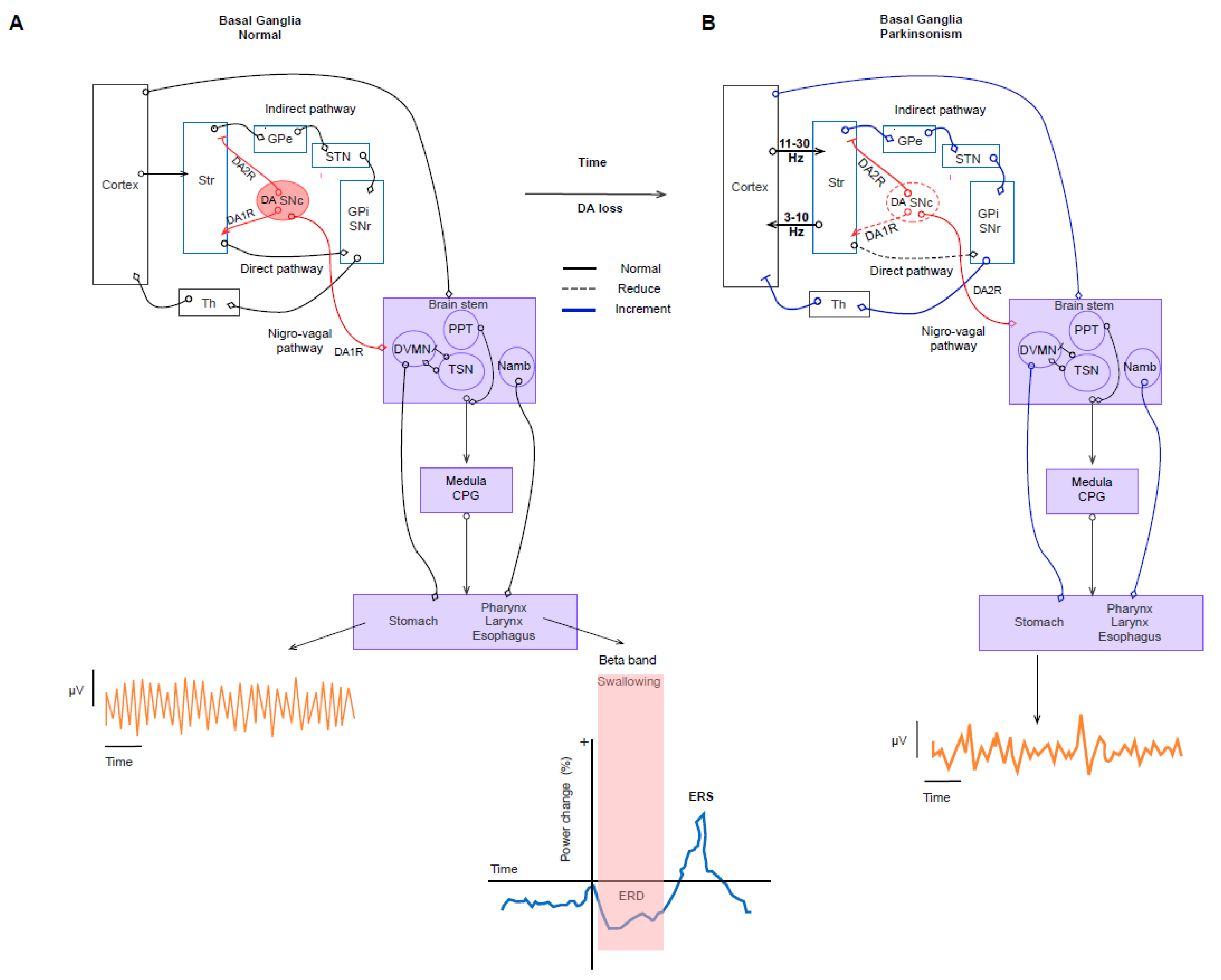 Diagnostics 13 02394 g002