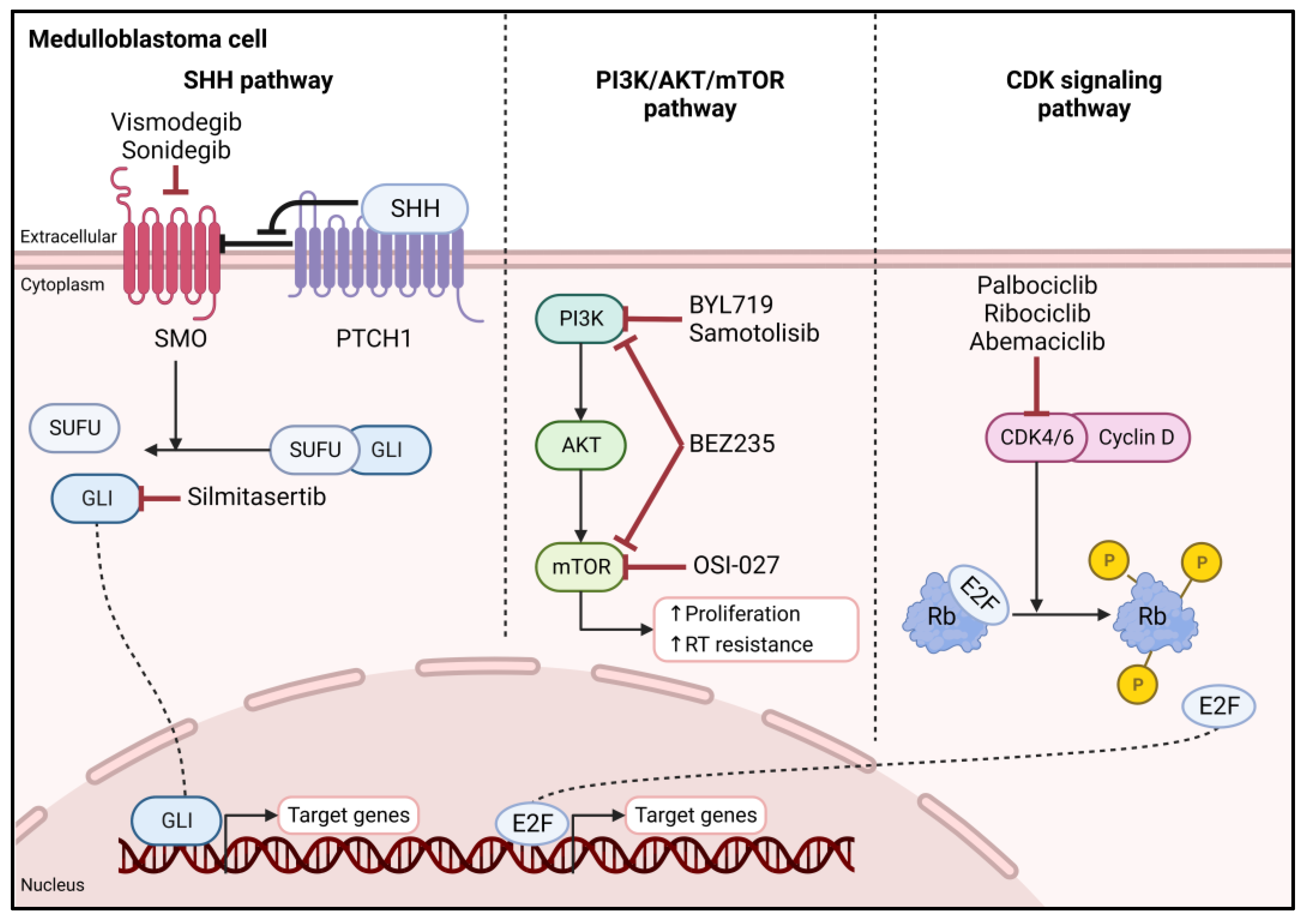 Diagnostics 13 02398 g002 Diagnostics 13 02398 g002
