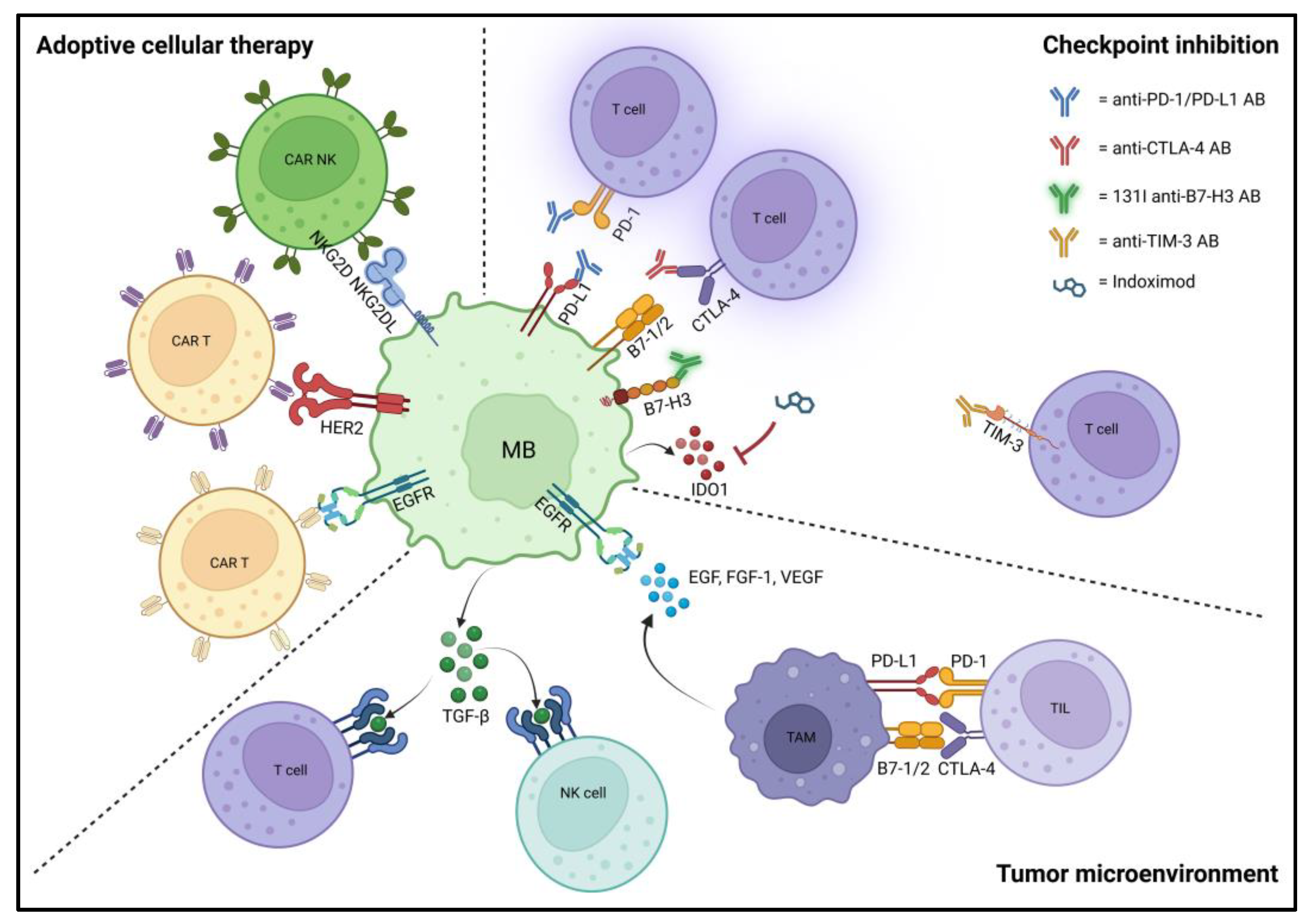 Diagnostics 13 02398 g003 Diagnostics 13 02398 g003