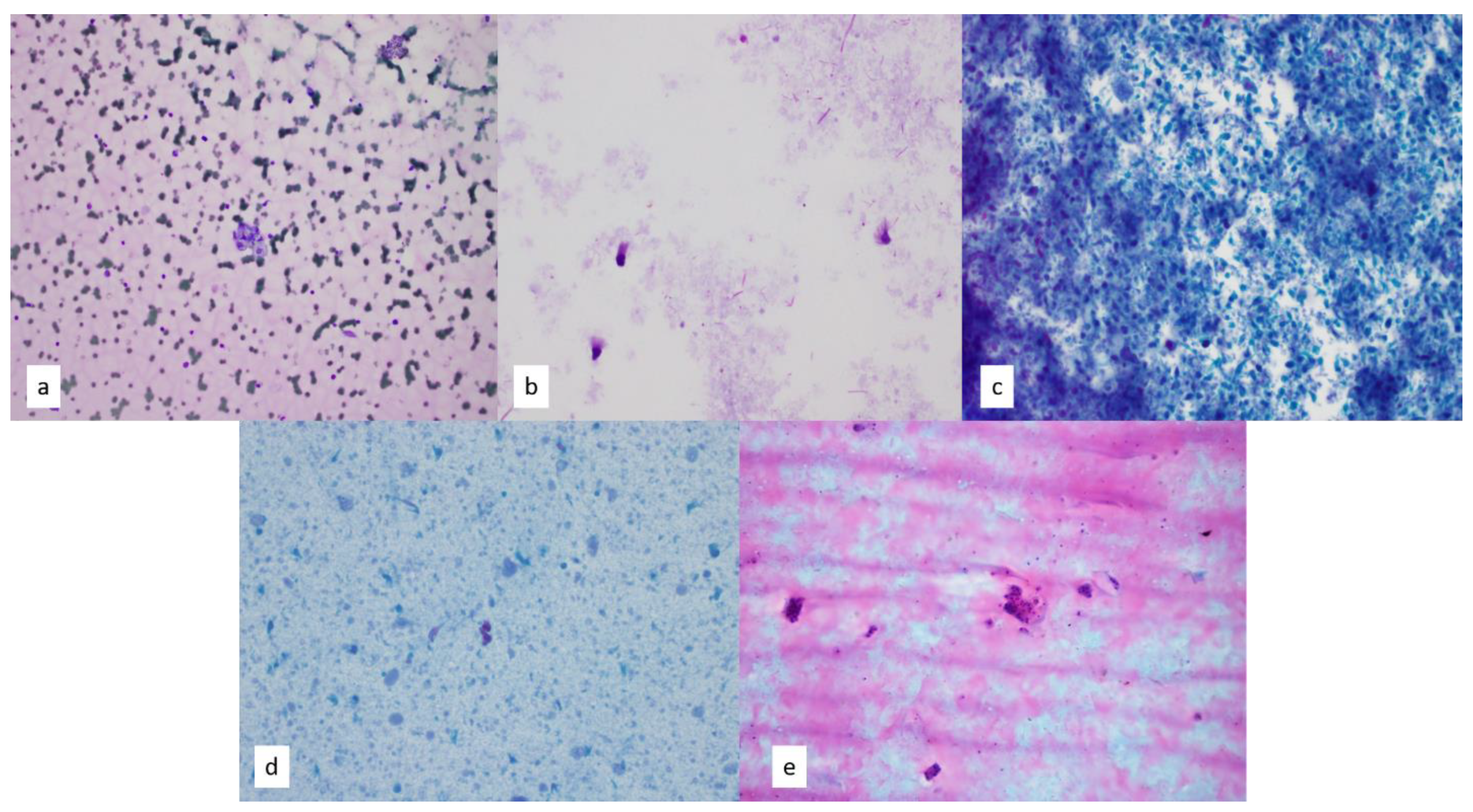 Diagnostics 13 02400 g002 Diagnostics 13 02400 g002