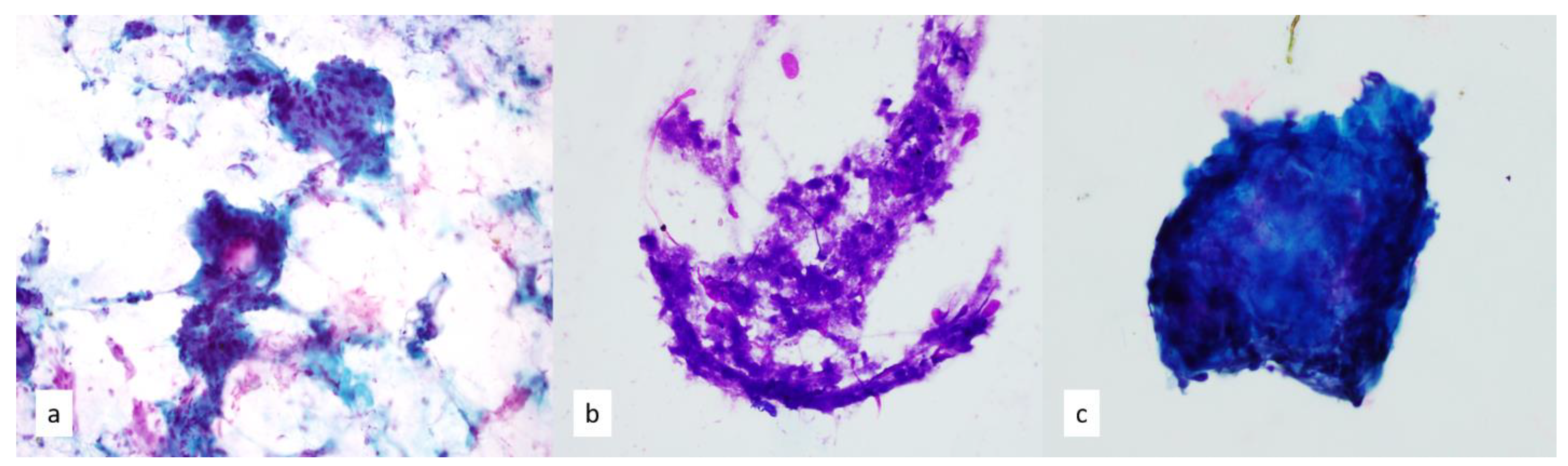Diagnostics 13 02400 g003 Diagnostics 13 02400 g003