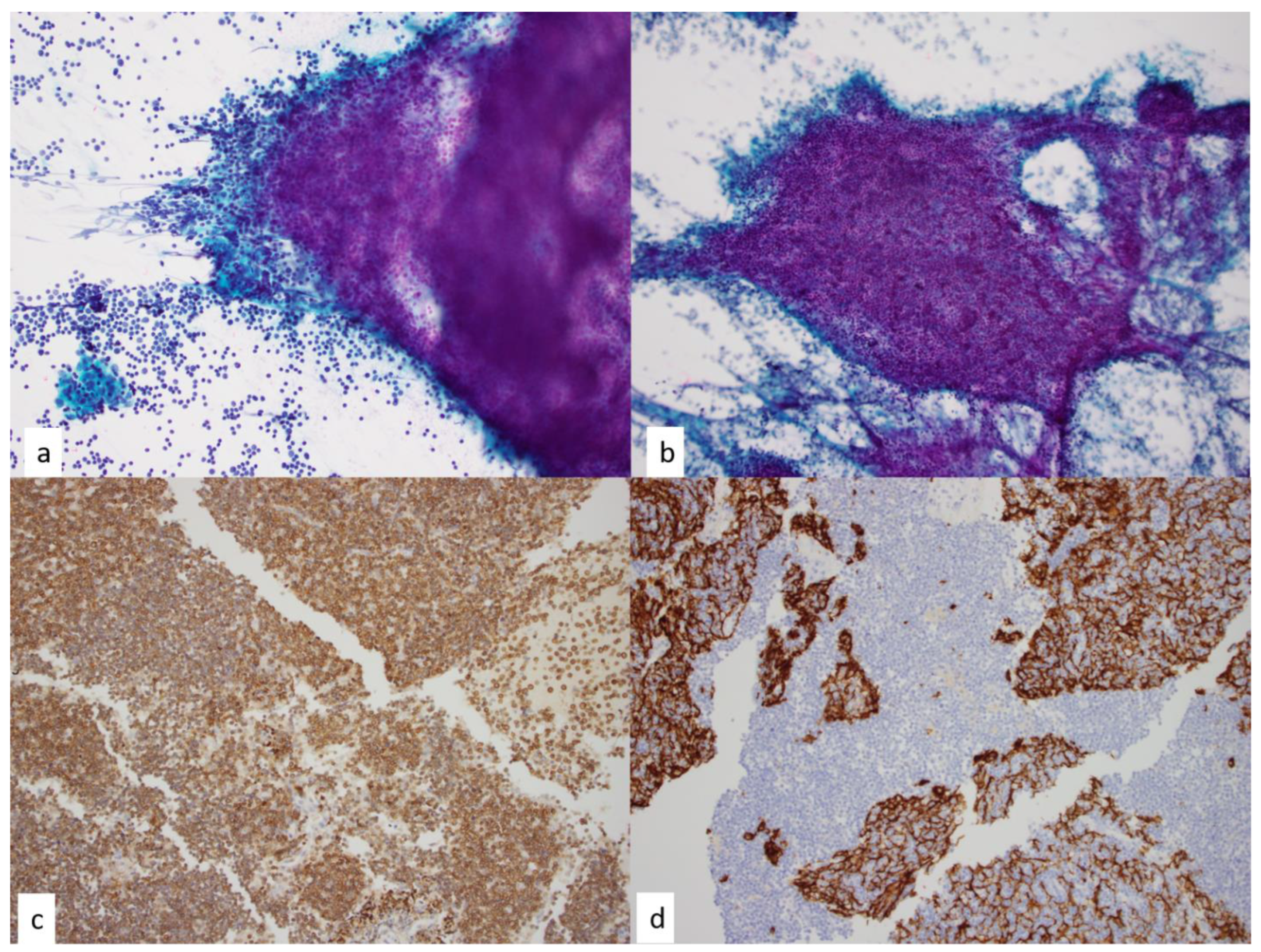 Diagnostics 13 02400 g005 Diagnostics 13 02400 g005