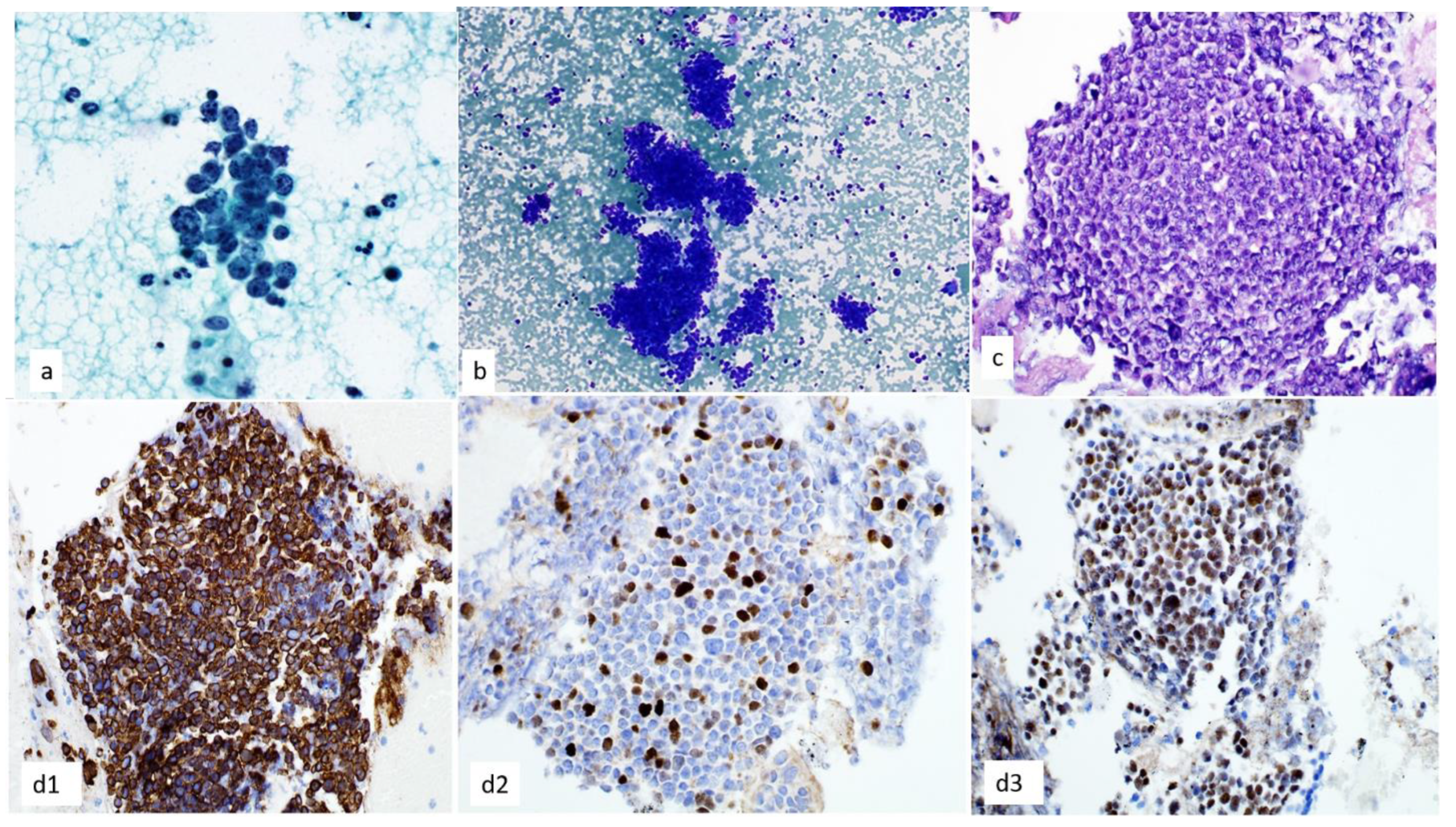 Diagnostics 13 02400 g009 Diagnostics 13 02400 g009