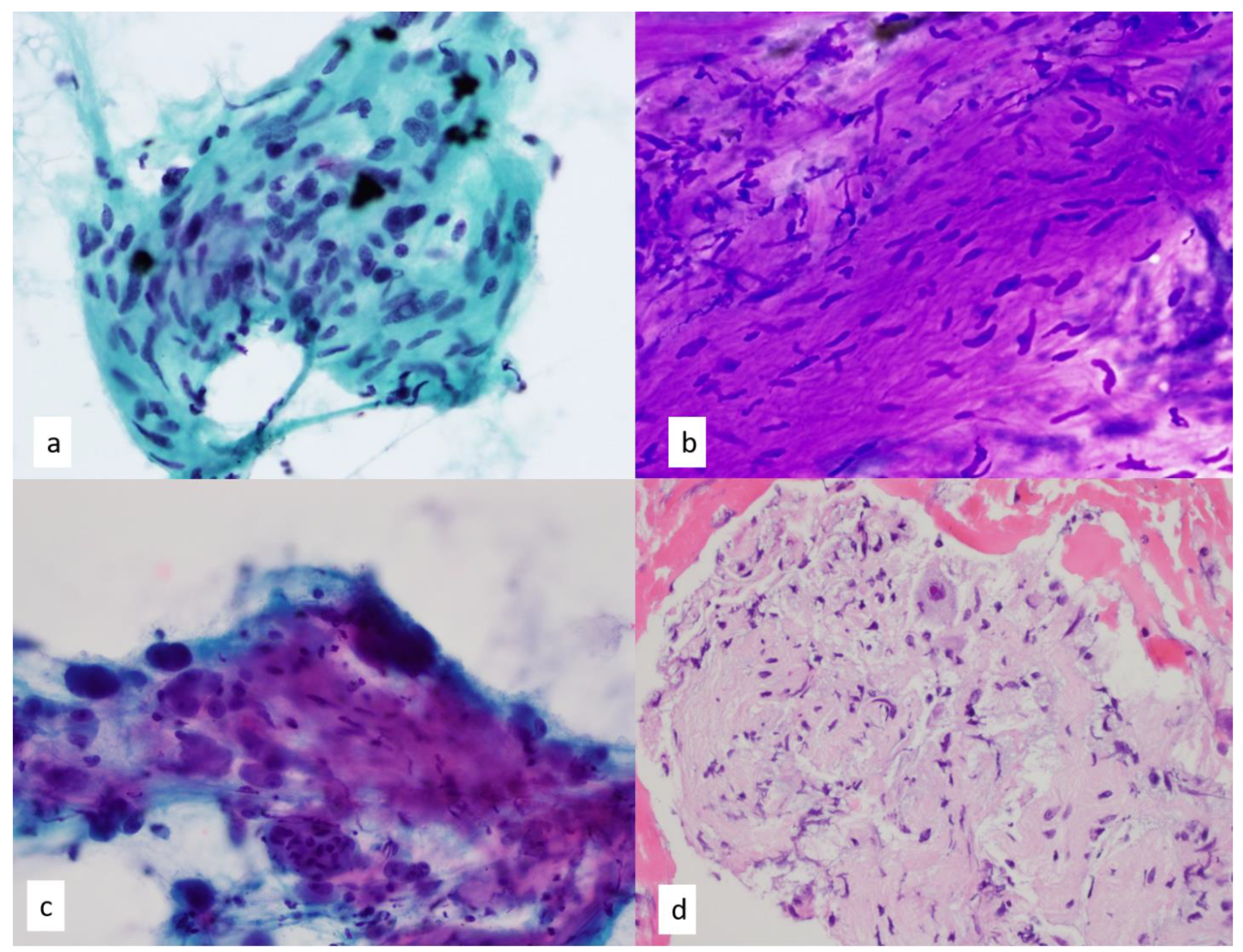 Diagnostics 13 02400 g012 Diagnostics 13 02400 g012