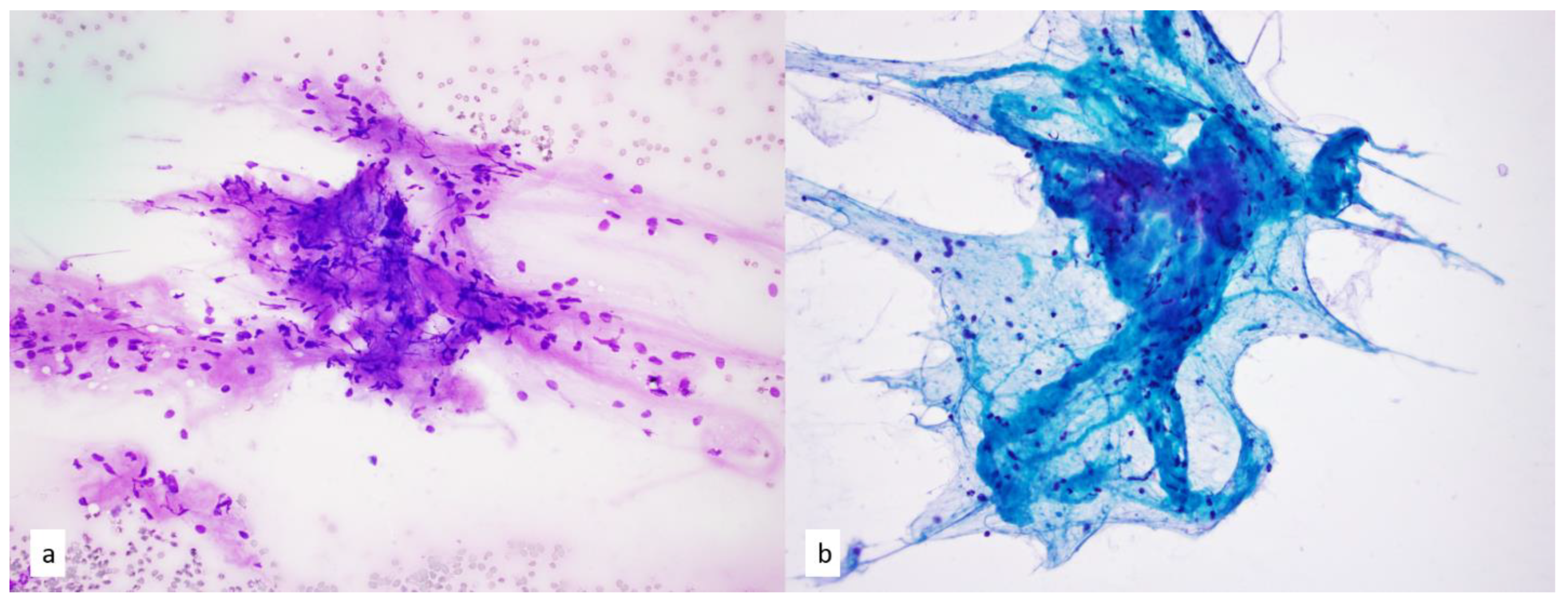 Diagnostics 13 02400 g013 Diagnostics 13 02400 g013