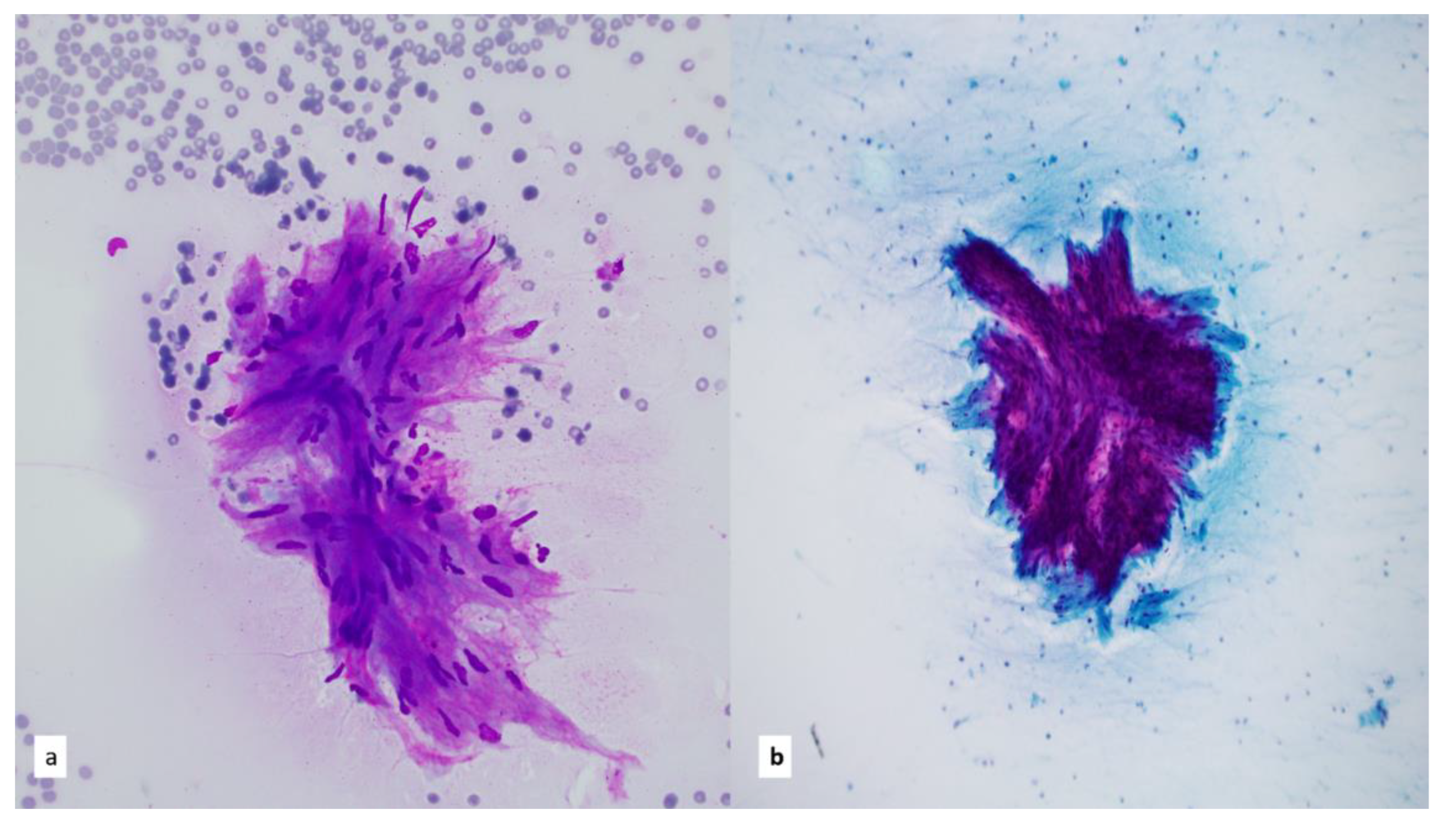 Diagnostics 13 02400 g014 Diagnostics 13 02400 g014