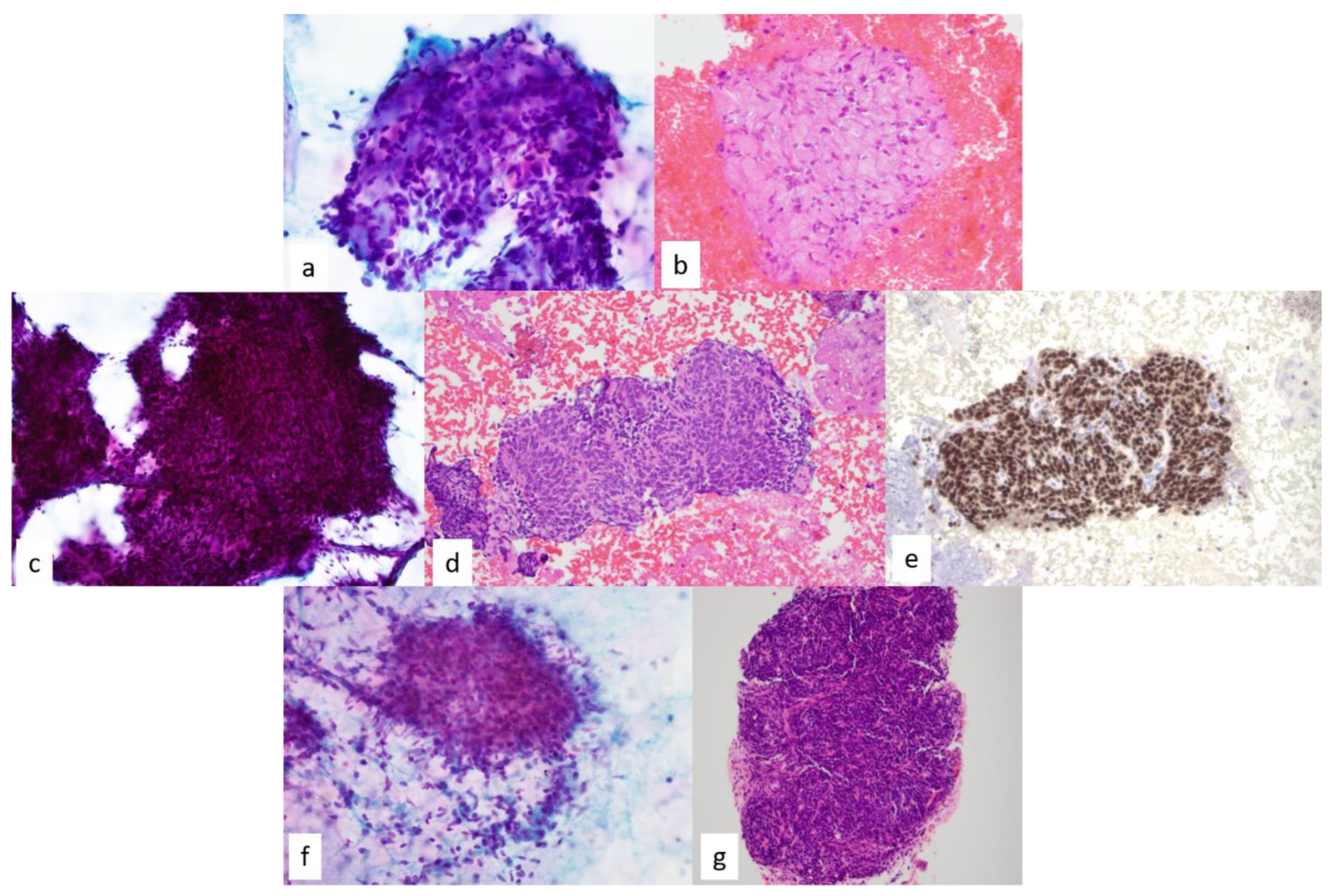 Diagnostics 13 02400 g016 Diagnostics 13 02400 g016