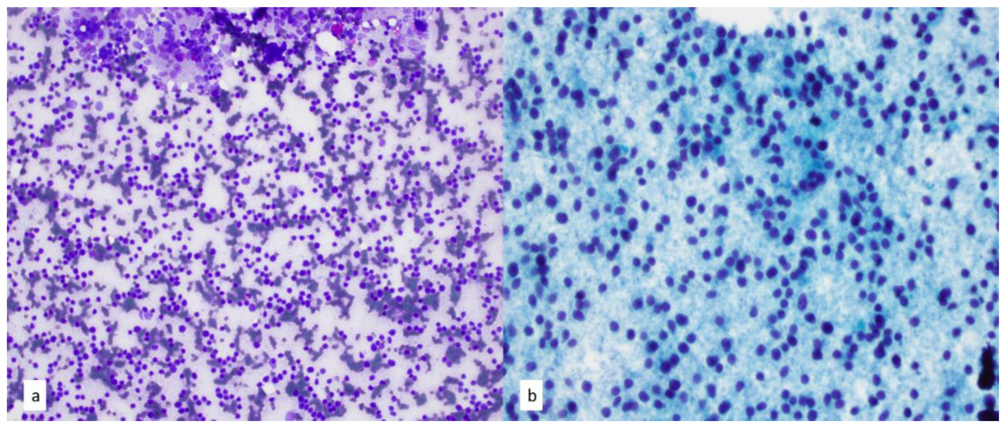 Diagnostics 13 02400 g018 Diagnostics 13 02400 g018