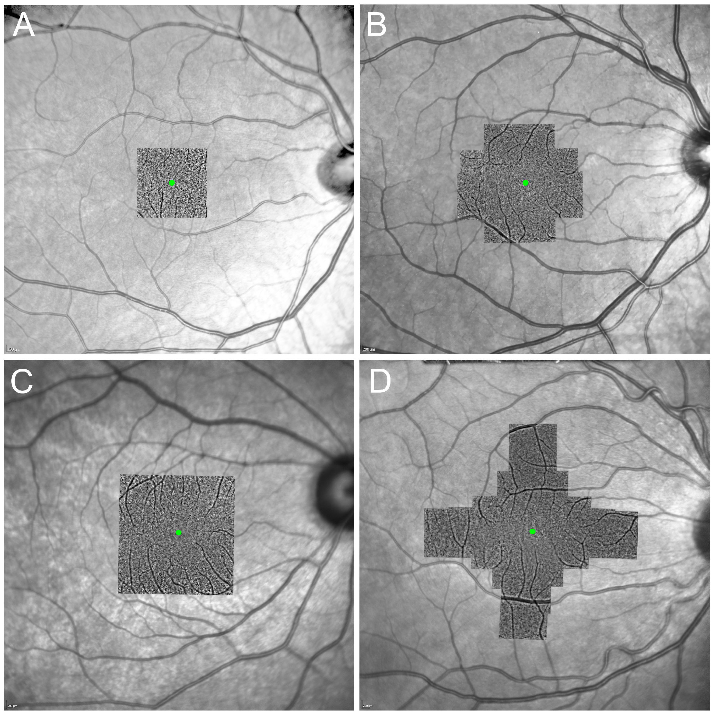 Diagnostics 13 02413 g003 Diagnostics 13 02413 g003