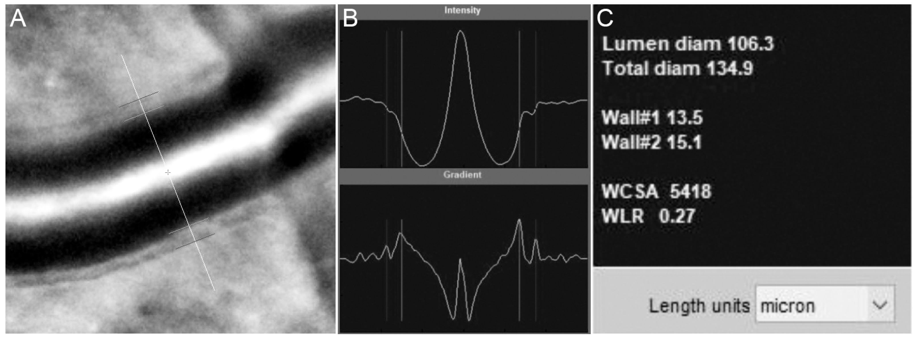 Diagnostics 13 02413 g005 Diagnostics 13 02413 g005