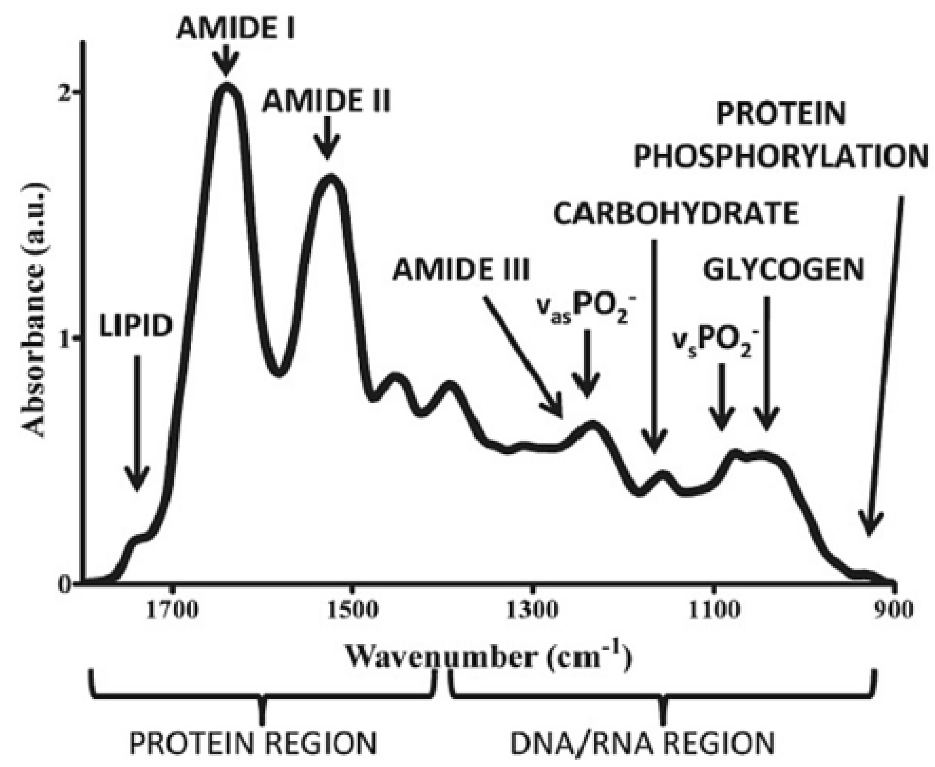 Diagnostics 13 02418 g003