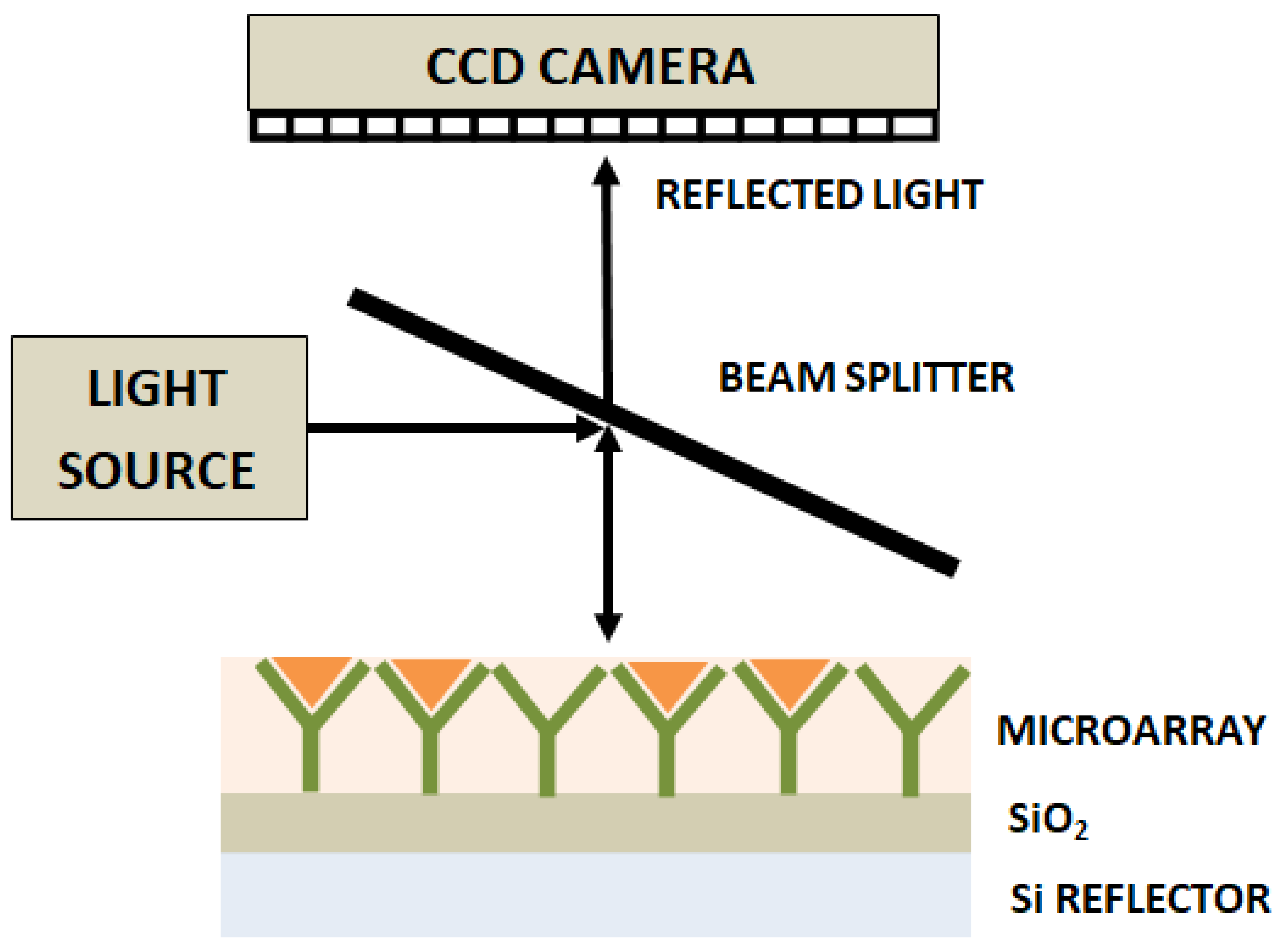 Diagnostics 13 02418 g006
