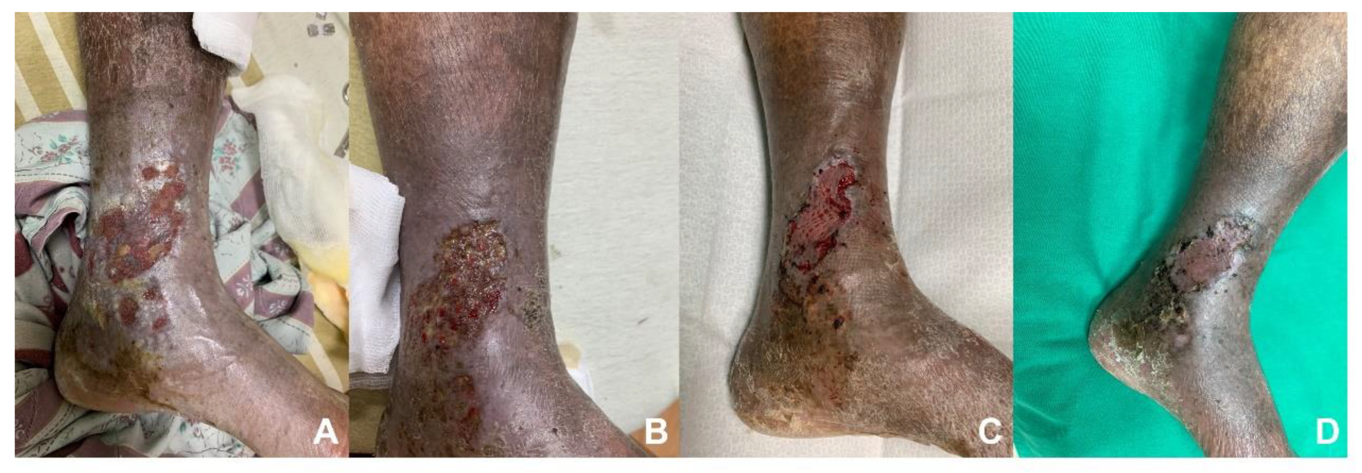 Diagnostics 13 02494 g003