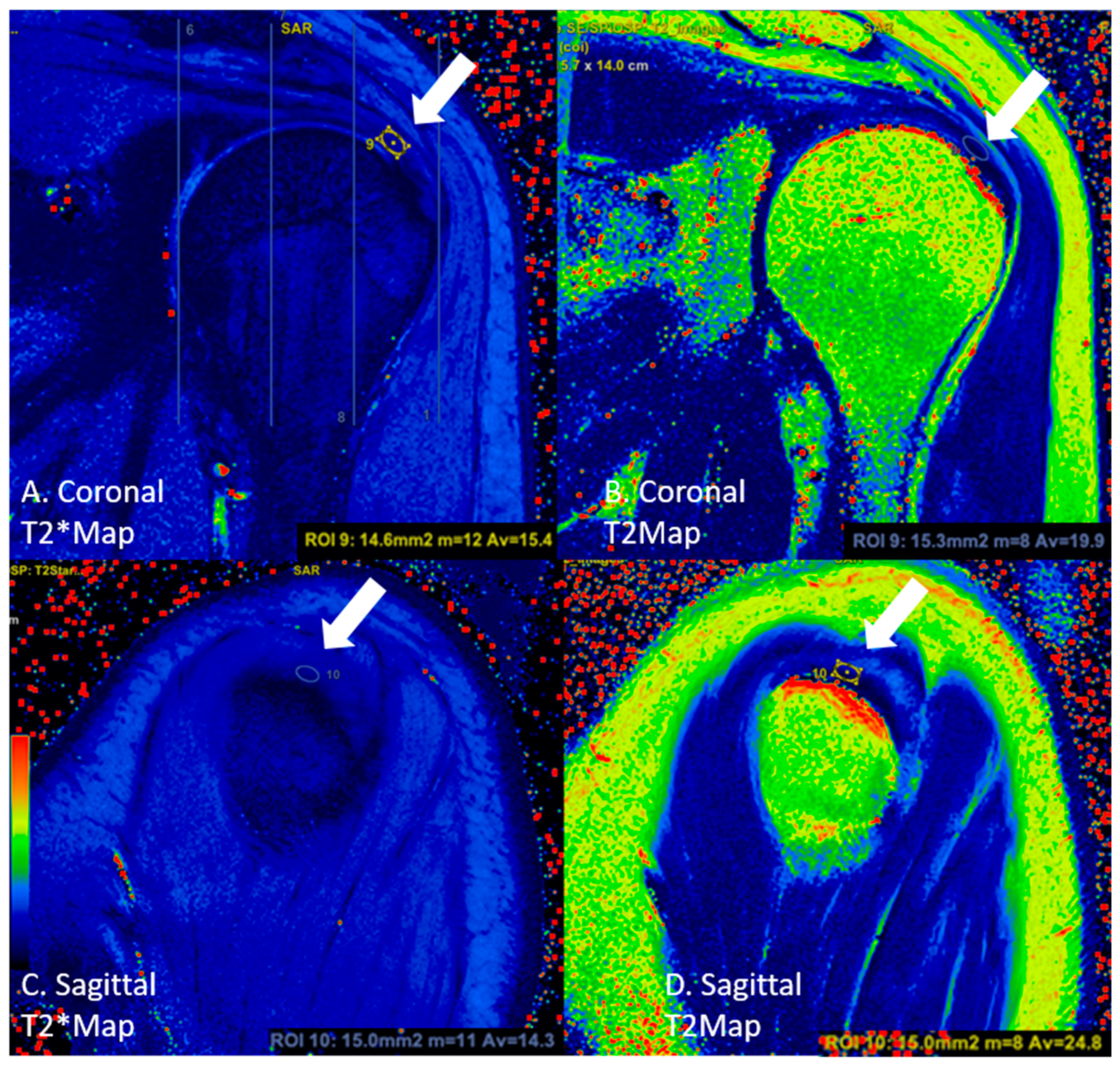 Diagnostics 13 02534 g003 Diagnostics 13 02534 g003