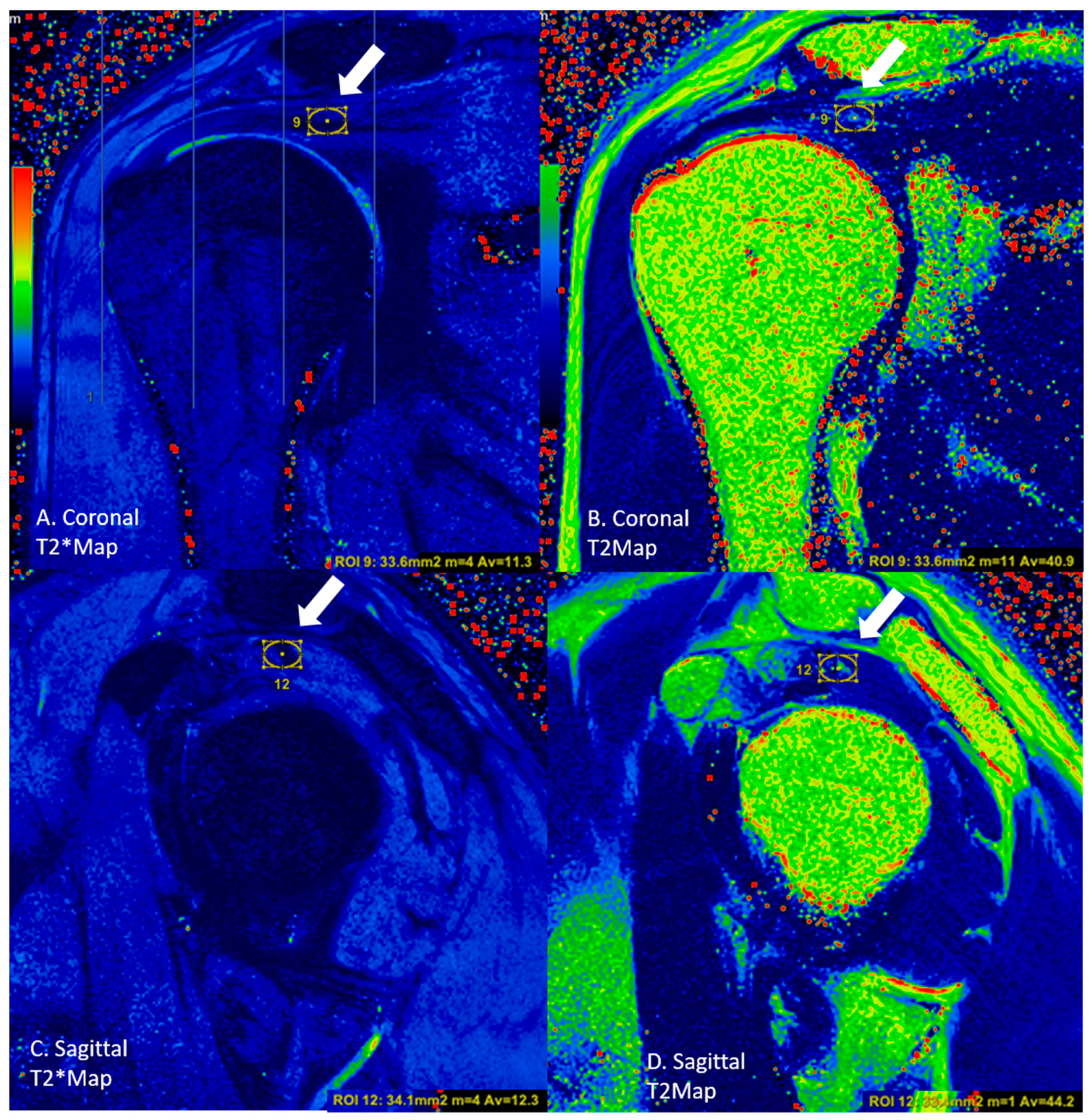 Diagnostics 13 02534 g005 Diagnostics 13 02534 g005