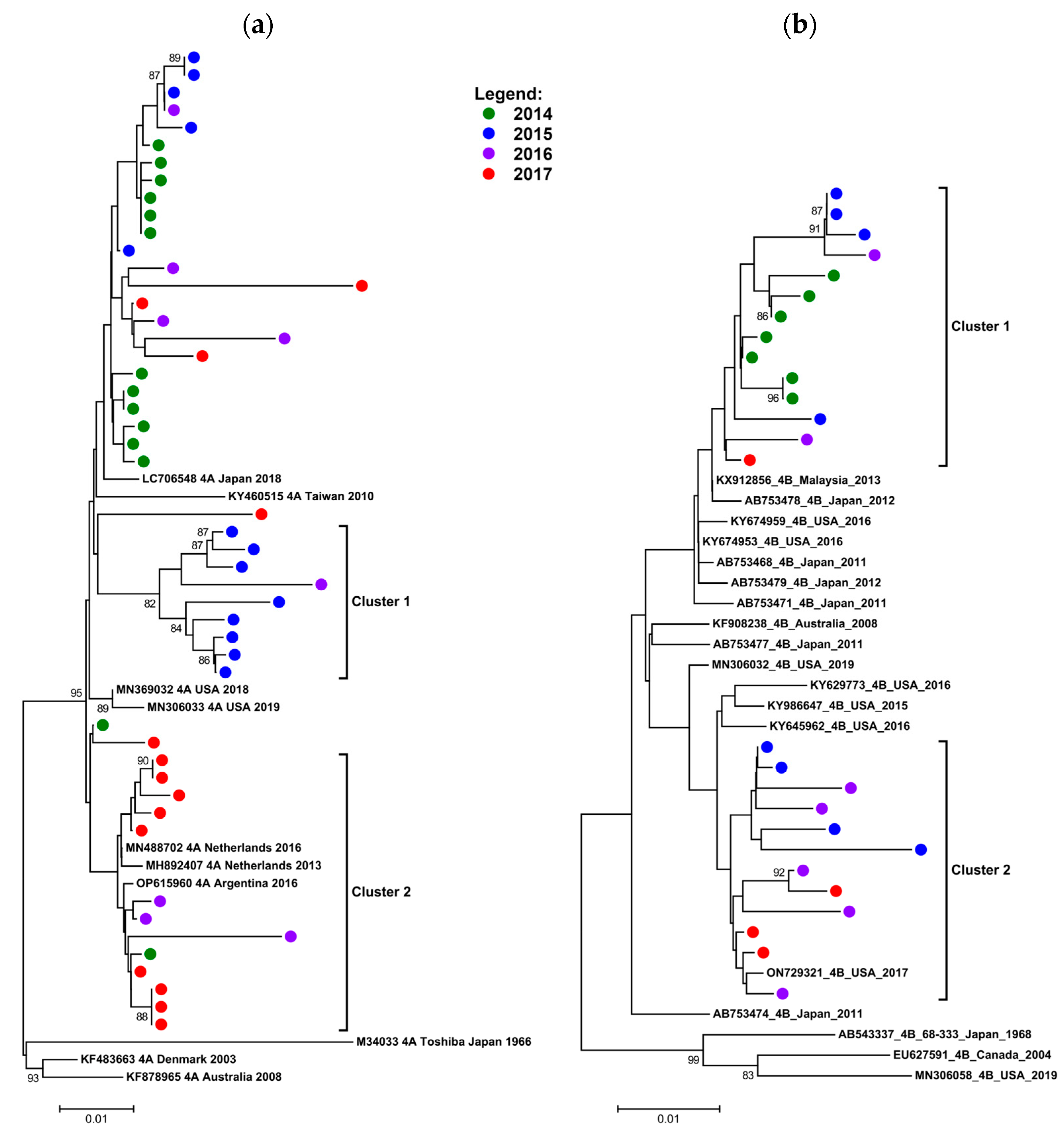 Diagnostics 13 02576 g004