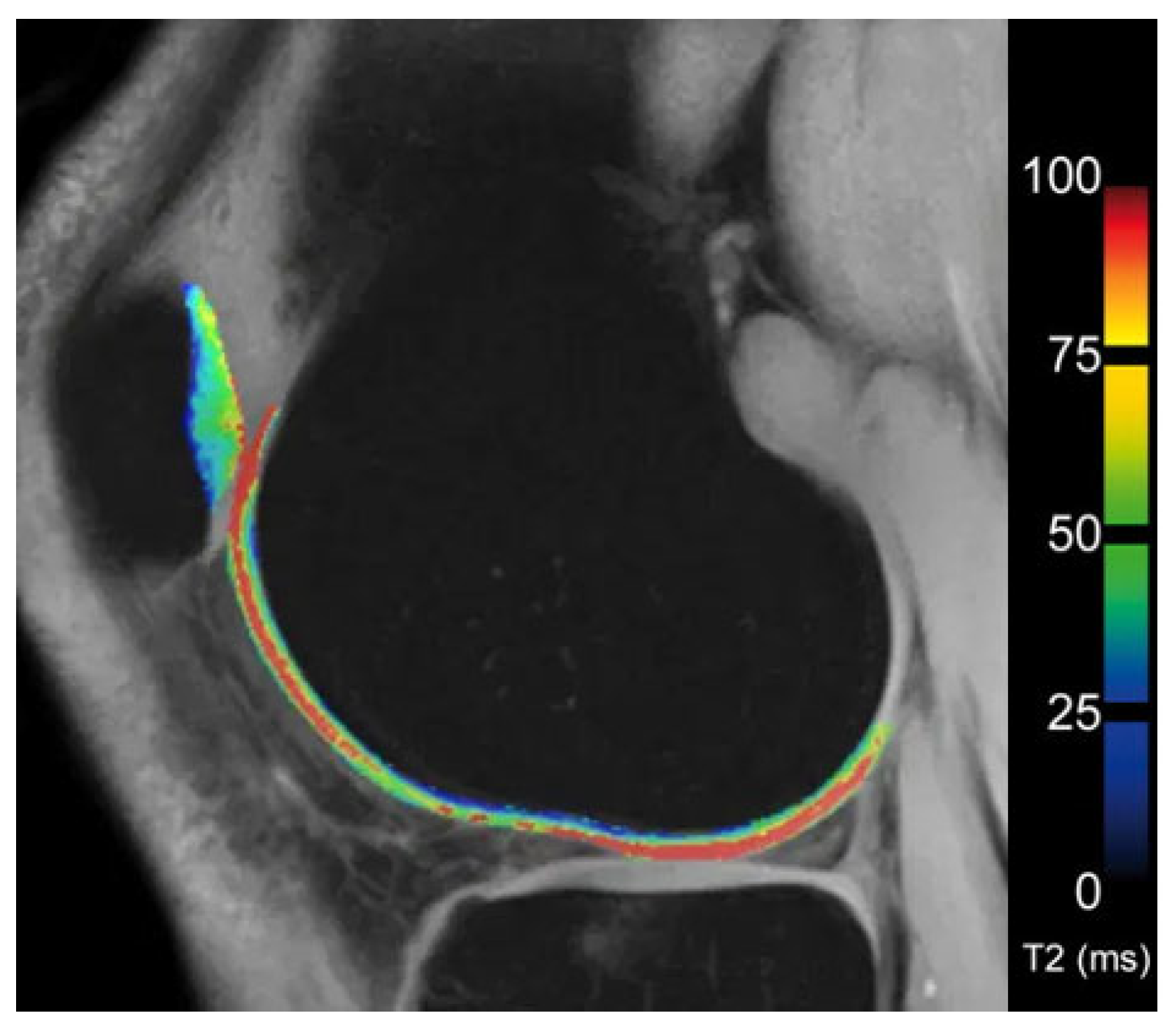Diagnostics 13 02586 g005 Diagnostics 13 02586 g005
