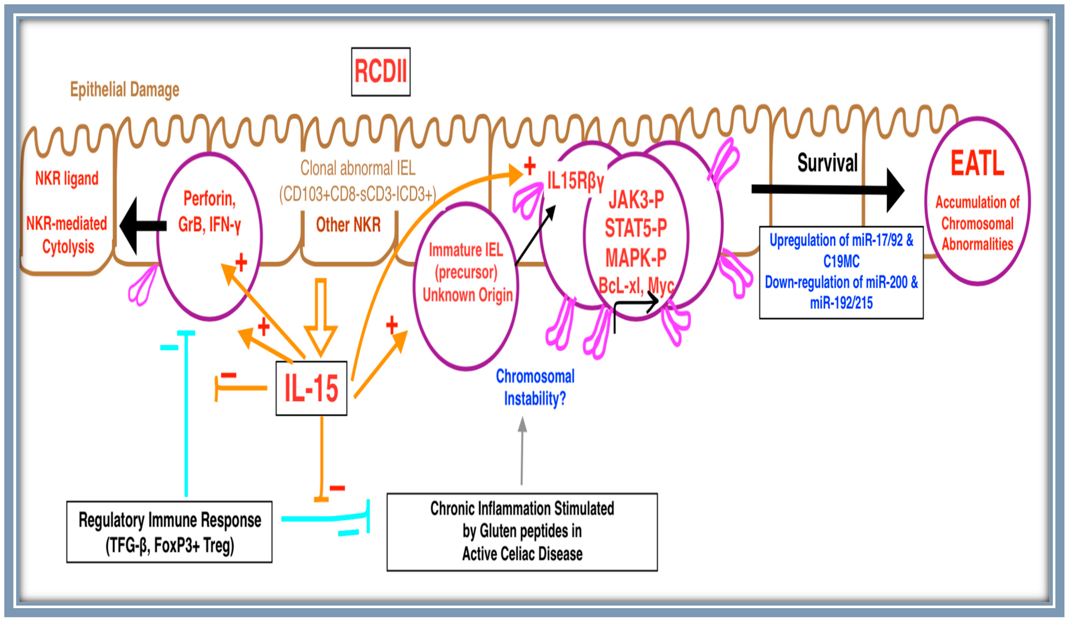 Diagnostics 13 02629 g002 Diagnostics 13 02629 g002