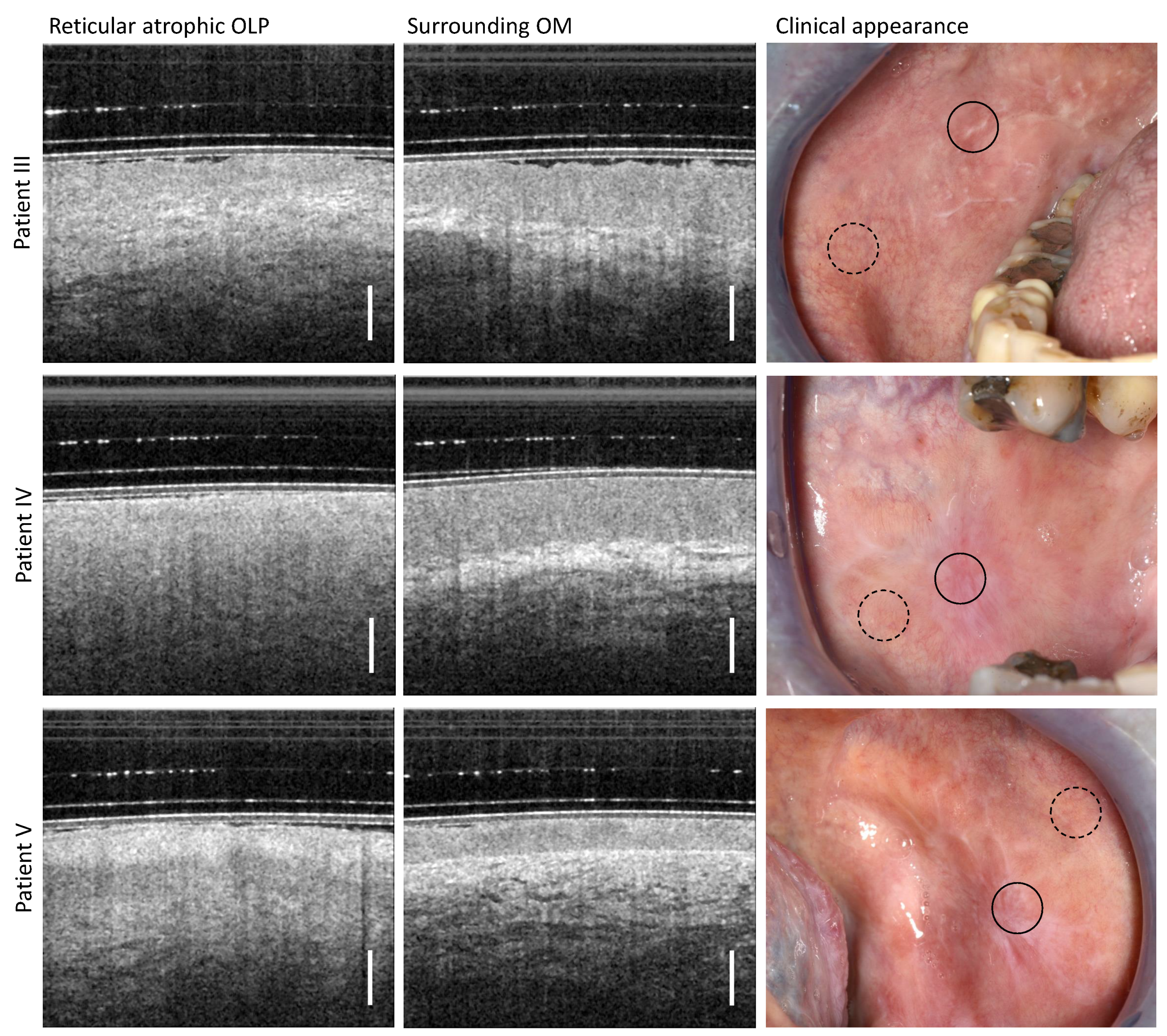 Diagnostics 13 02642 g004 Diagnostics 13 02642 g004