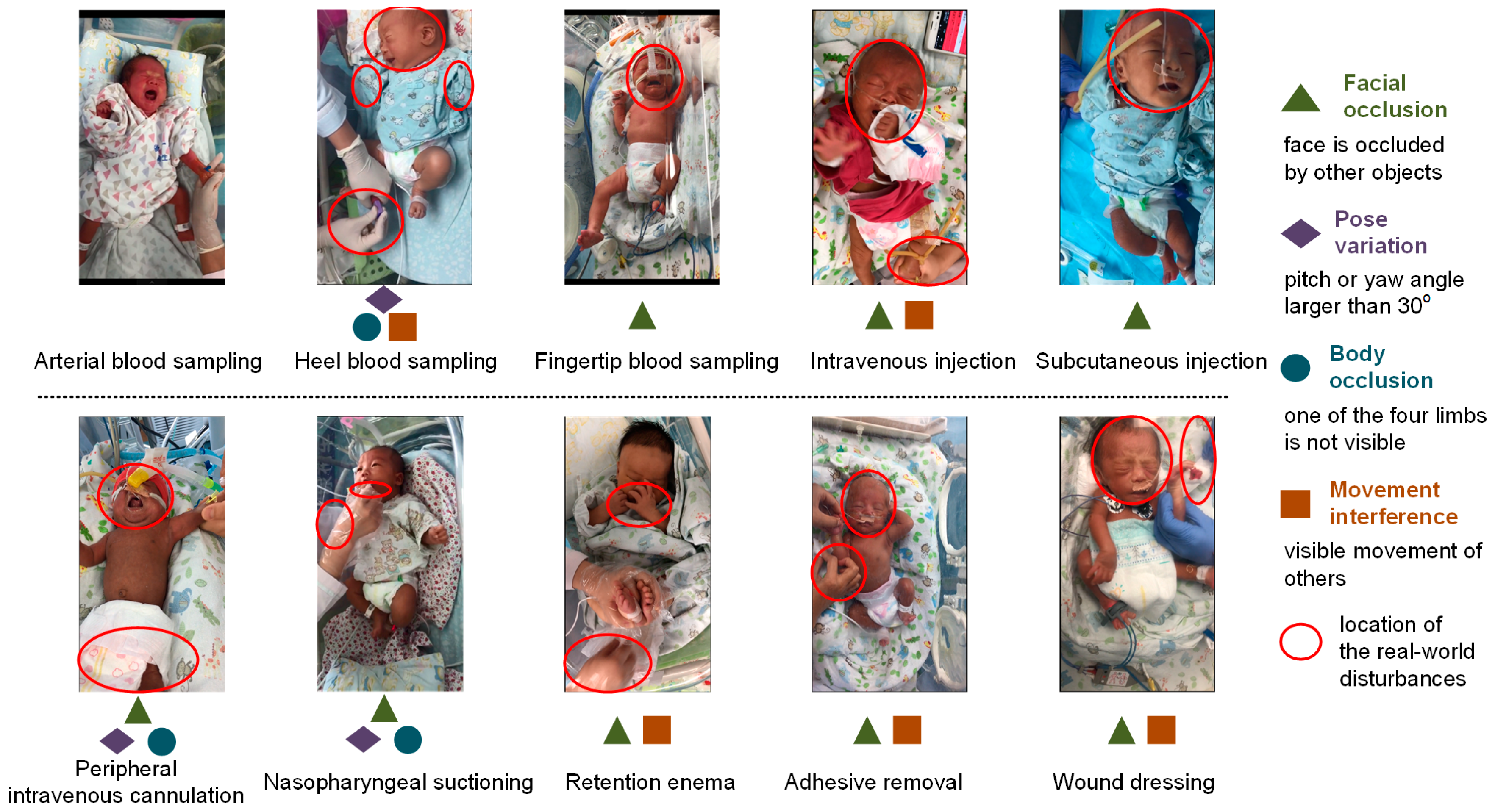 Diagnostics 13 02661 g002