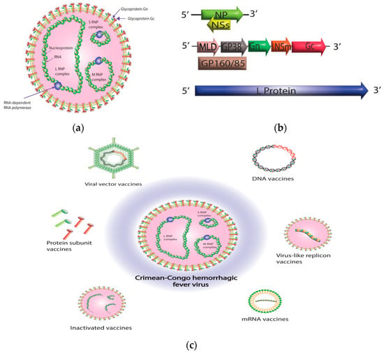 Diagnostics | Free Full-Text | Crimean–Congo Hemorrhagic