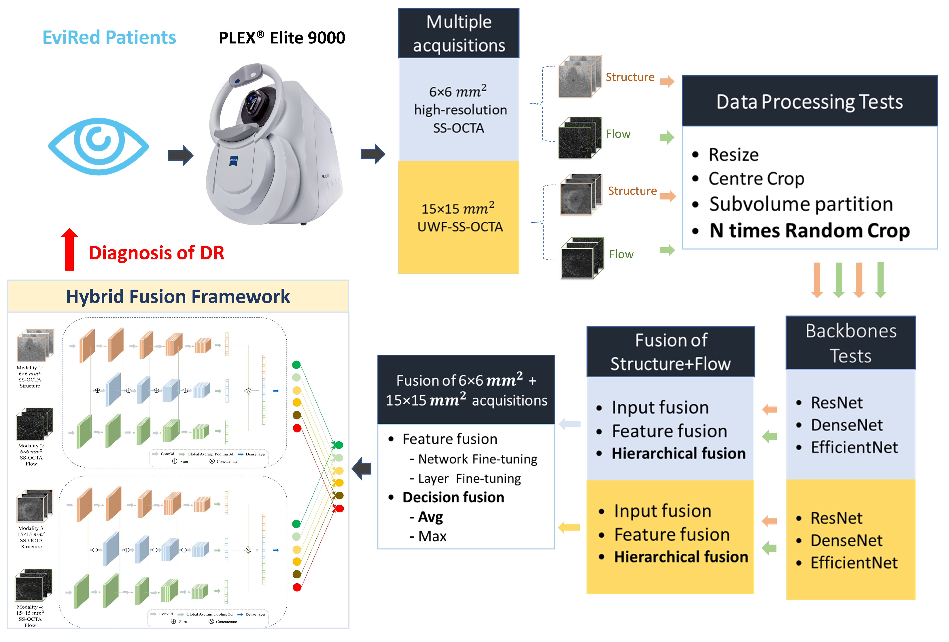 Diagnostics 13 02770 g001