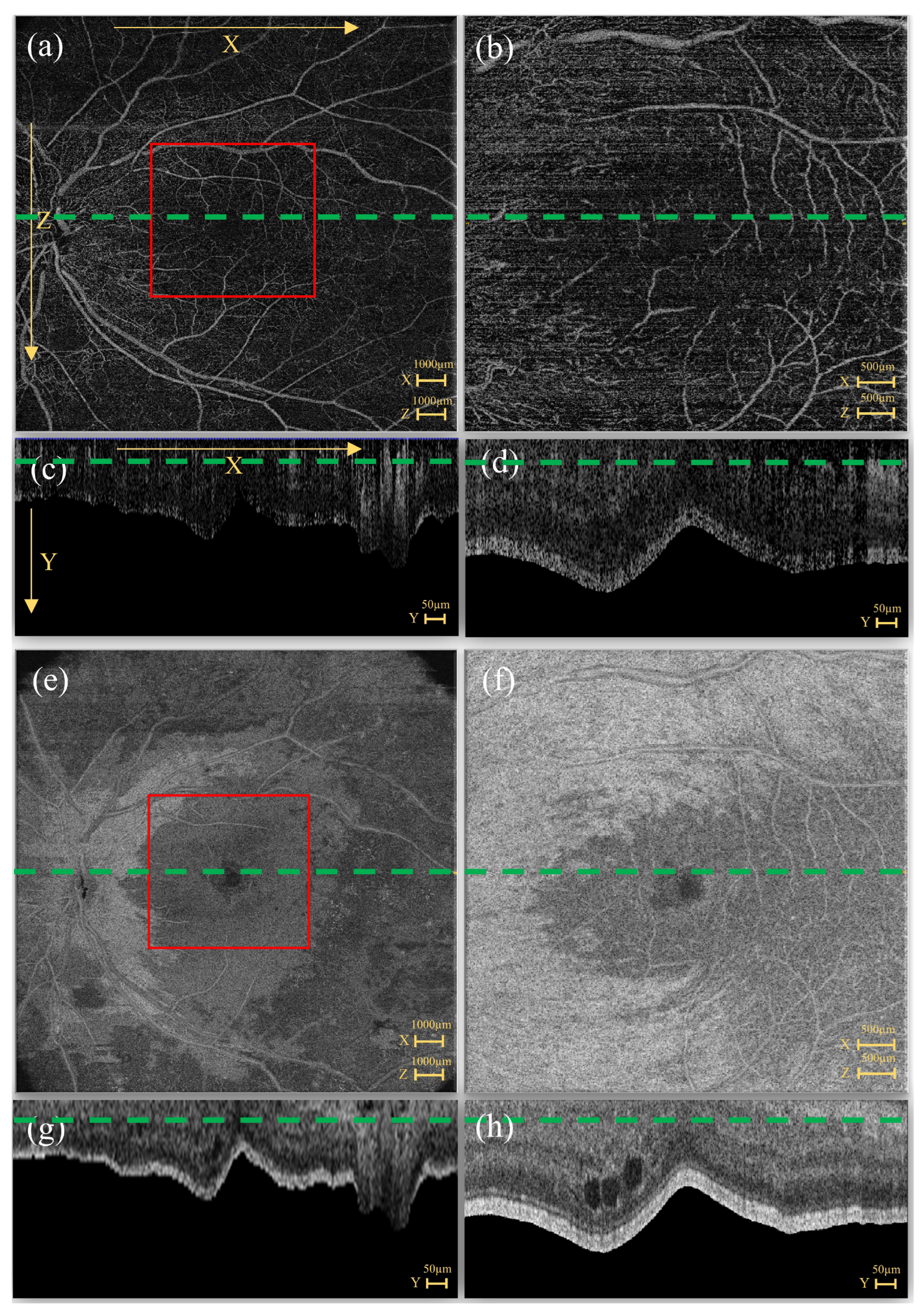 Diagnostics 13 02770 g002