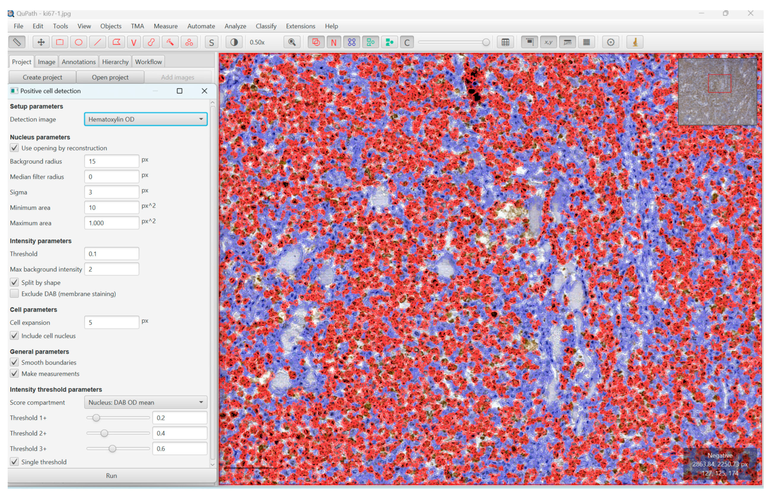 Diagnostics 13 02775 g001