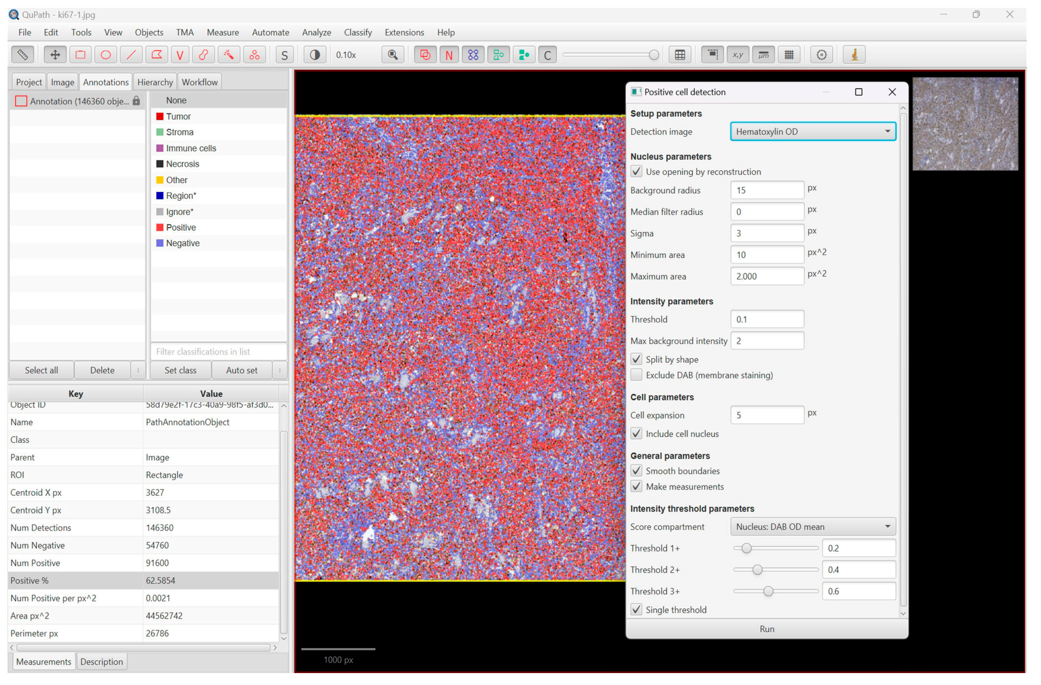 Diagnostics 13 02775 g003