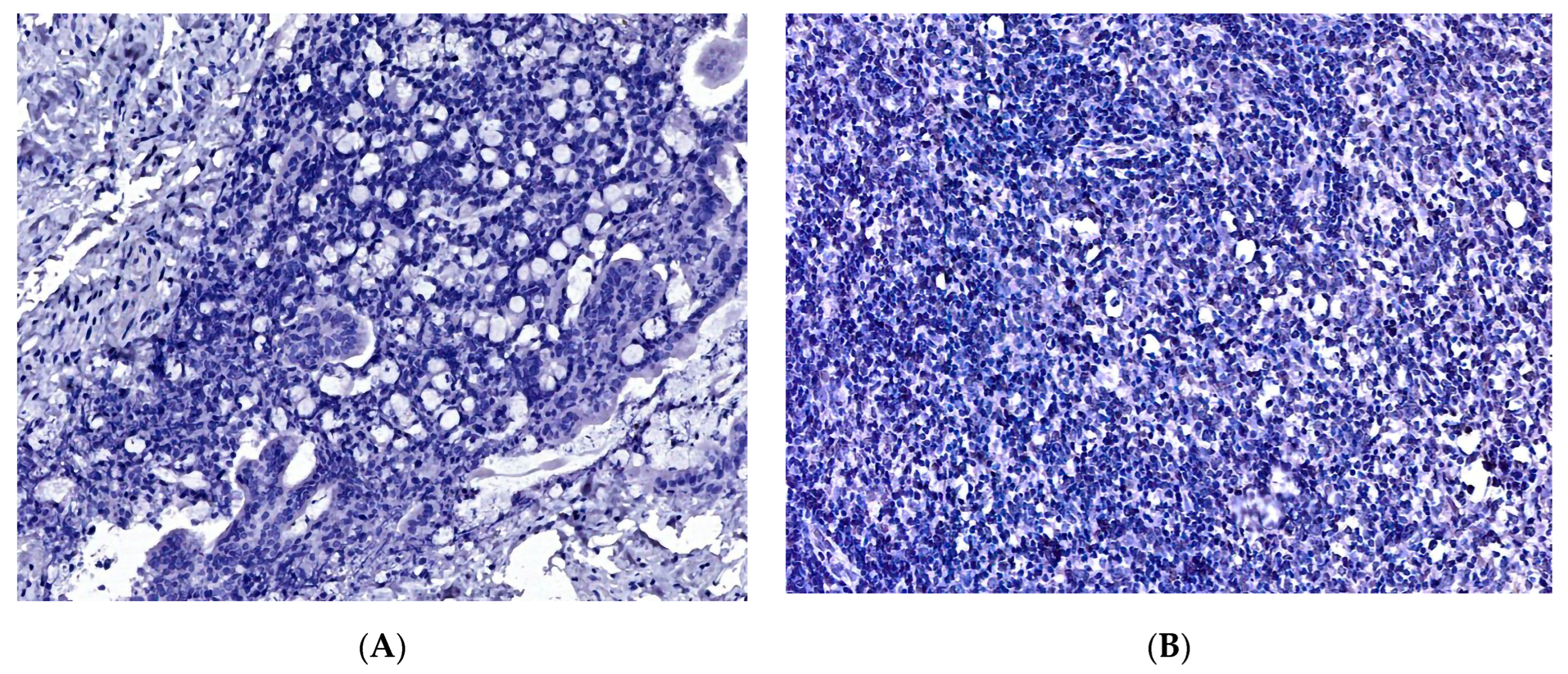 Diagnostics 13 02775 g004a