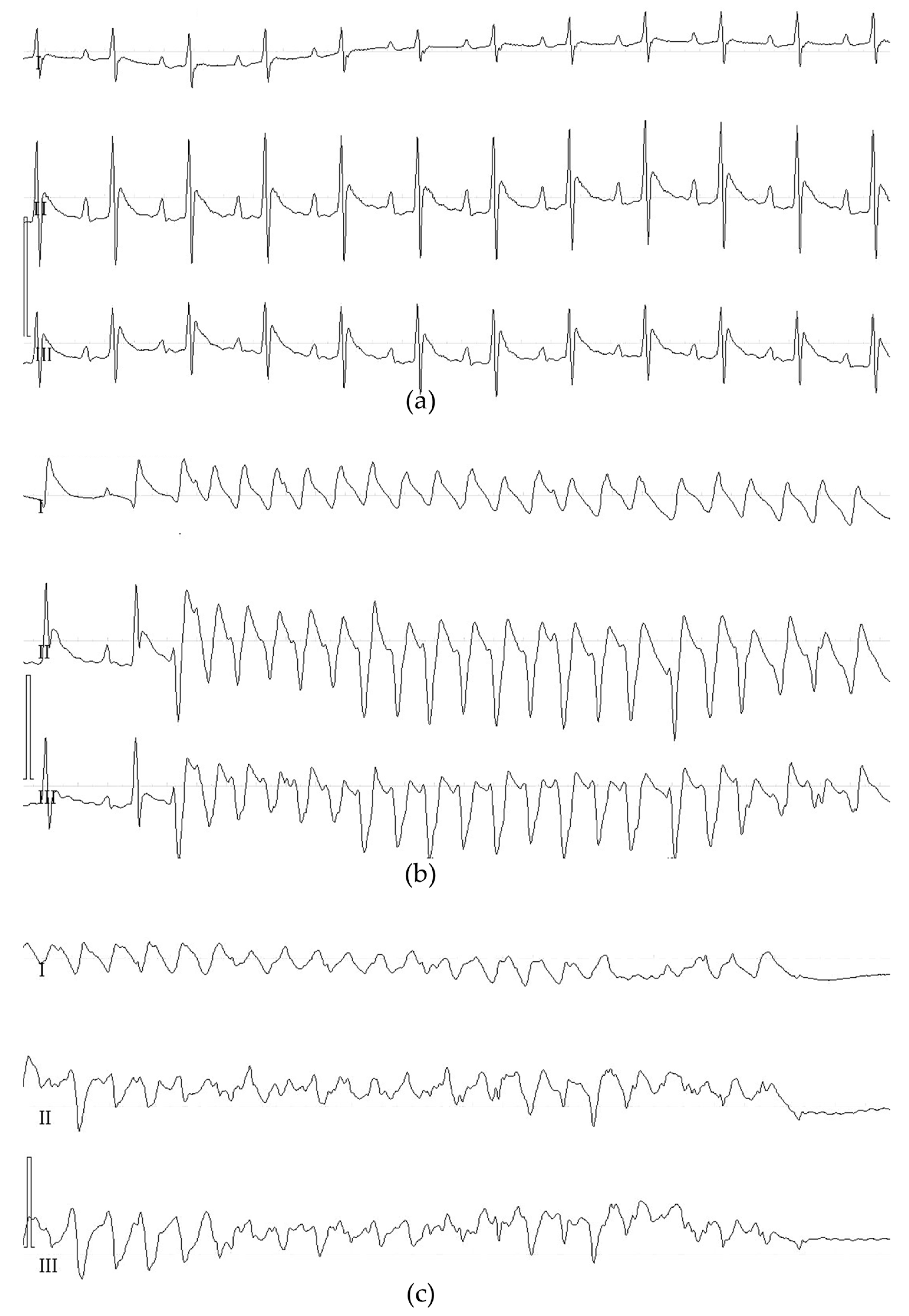 Diagnostics 13 02795 g002